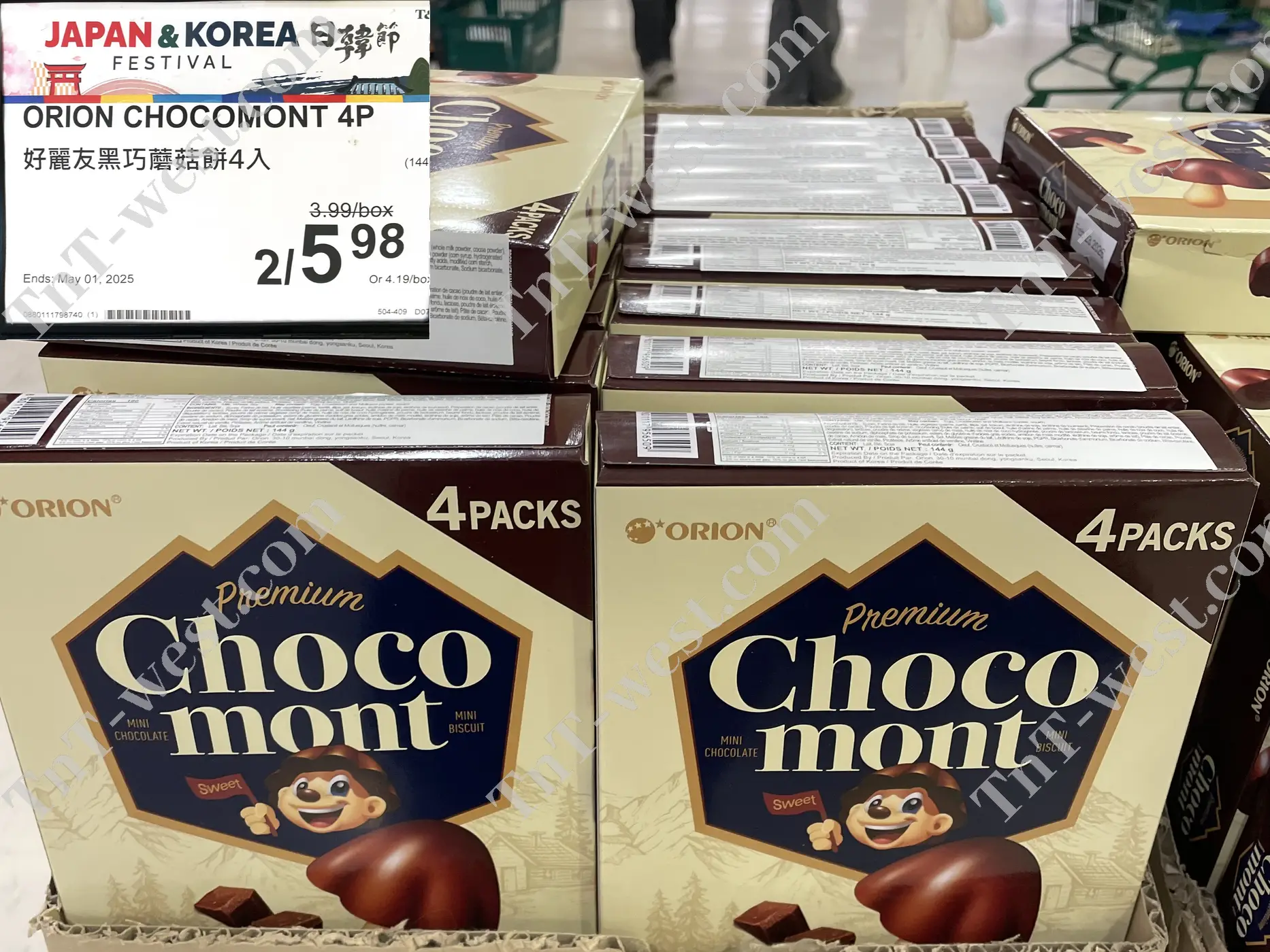 Orion Chocomont