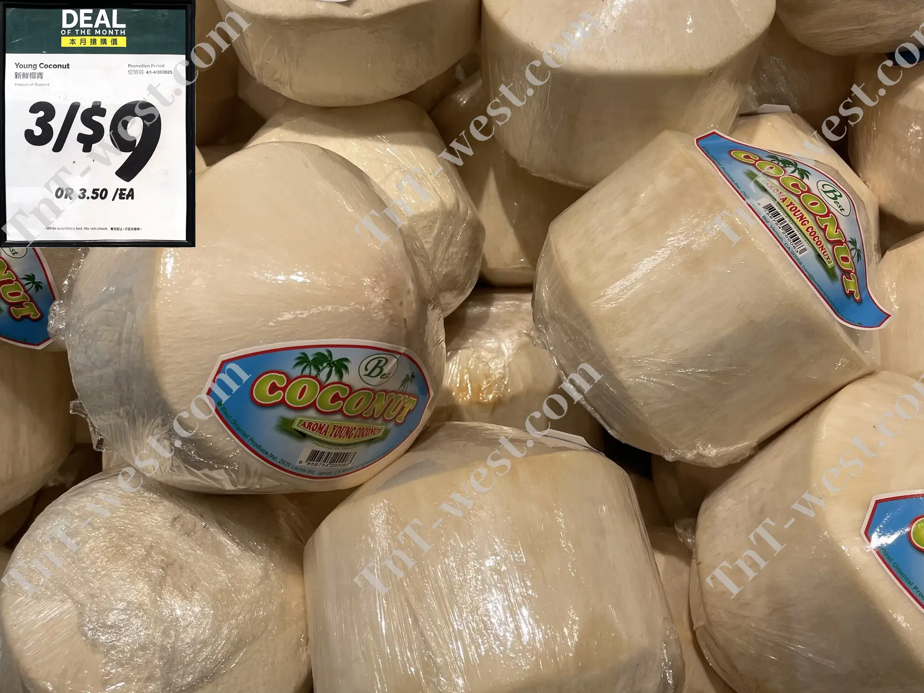 Coconut