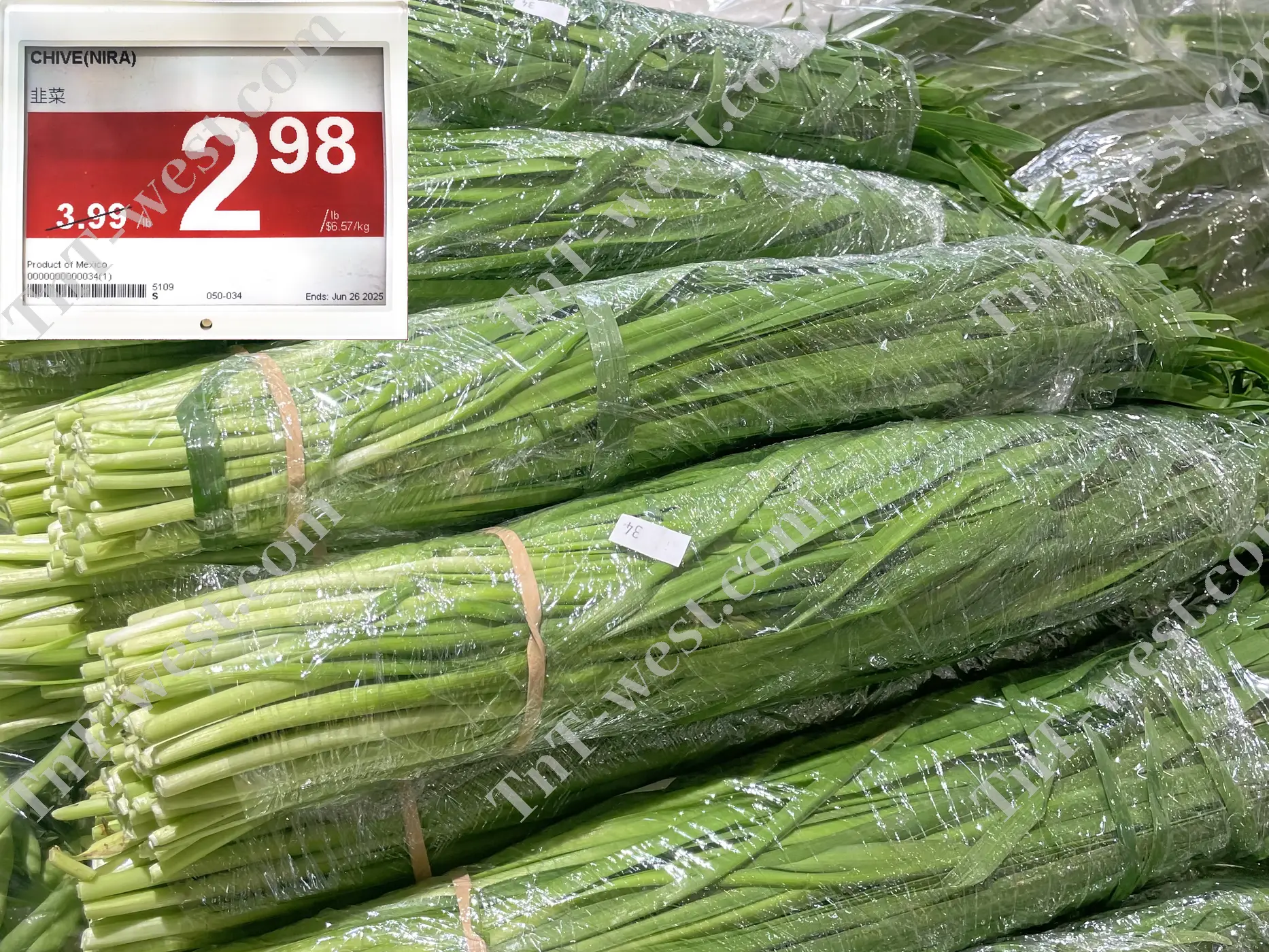 Chive