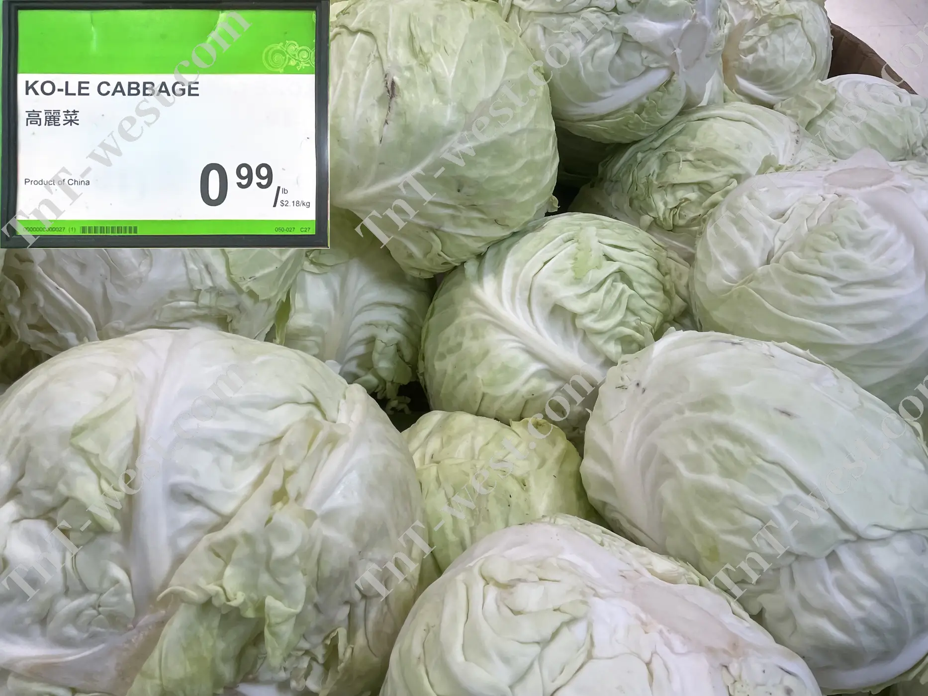Ko-Le Cabbage