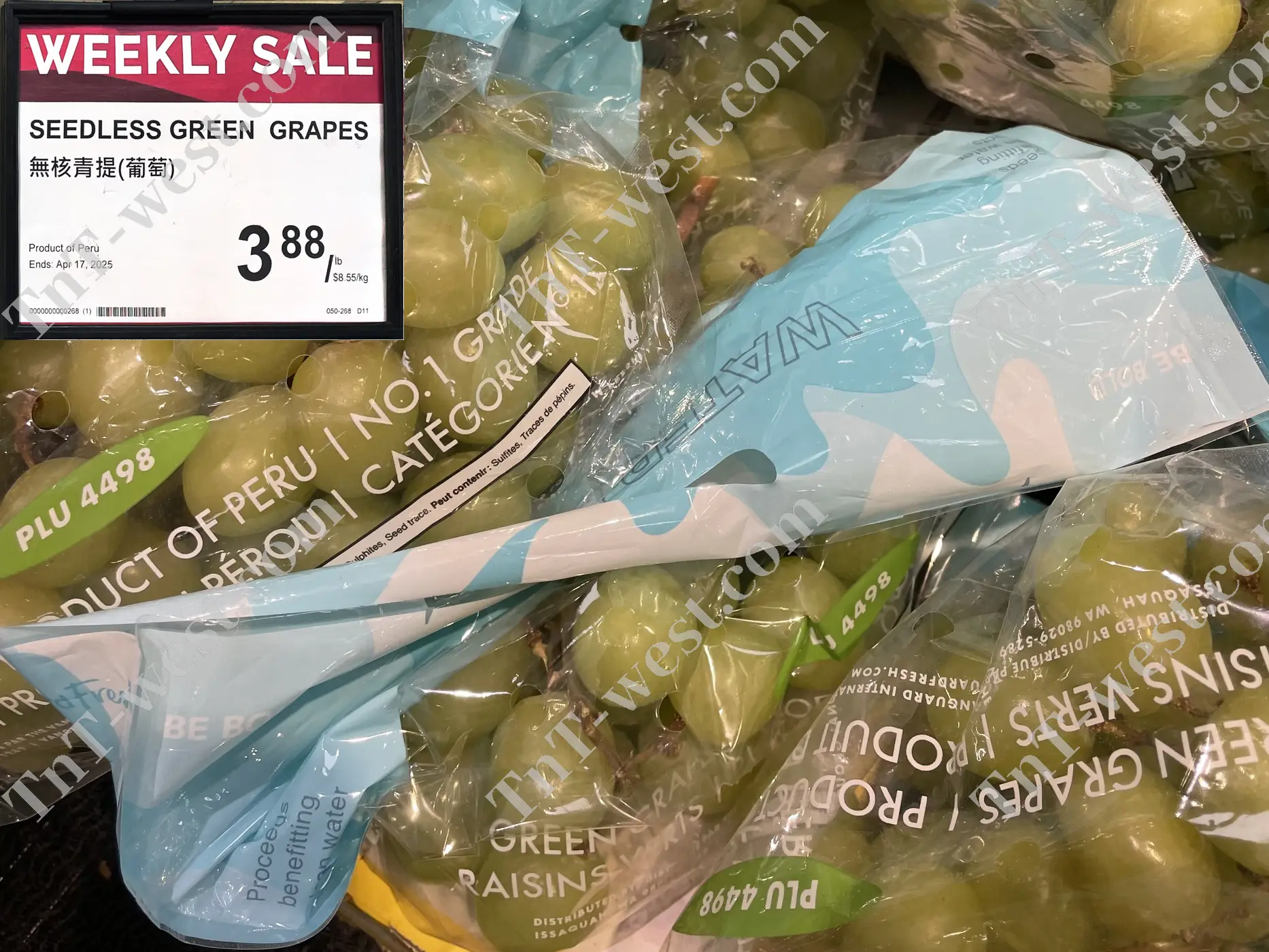 Seedless Green Grapes