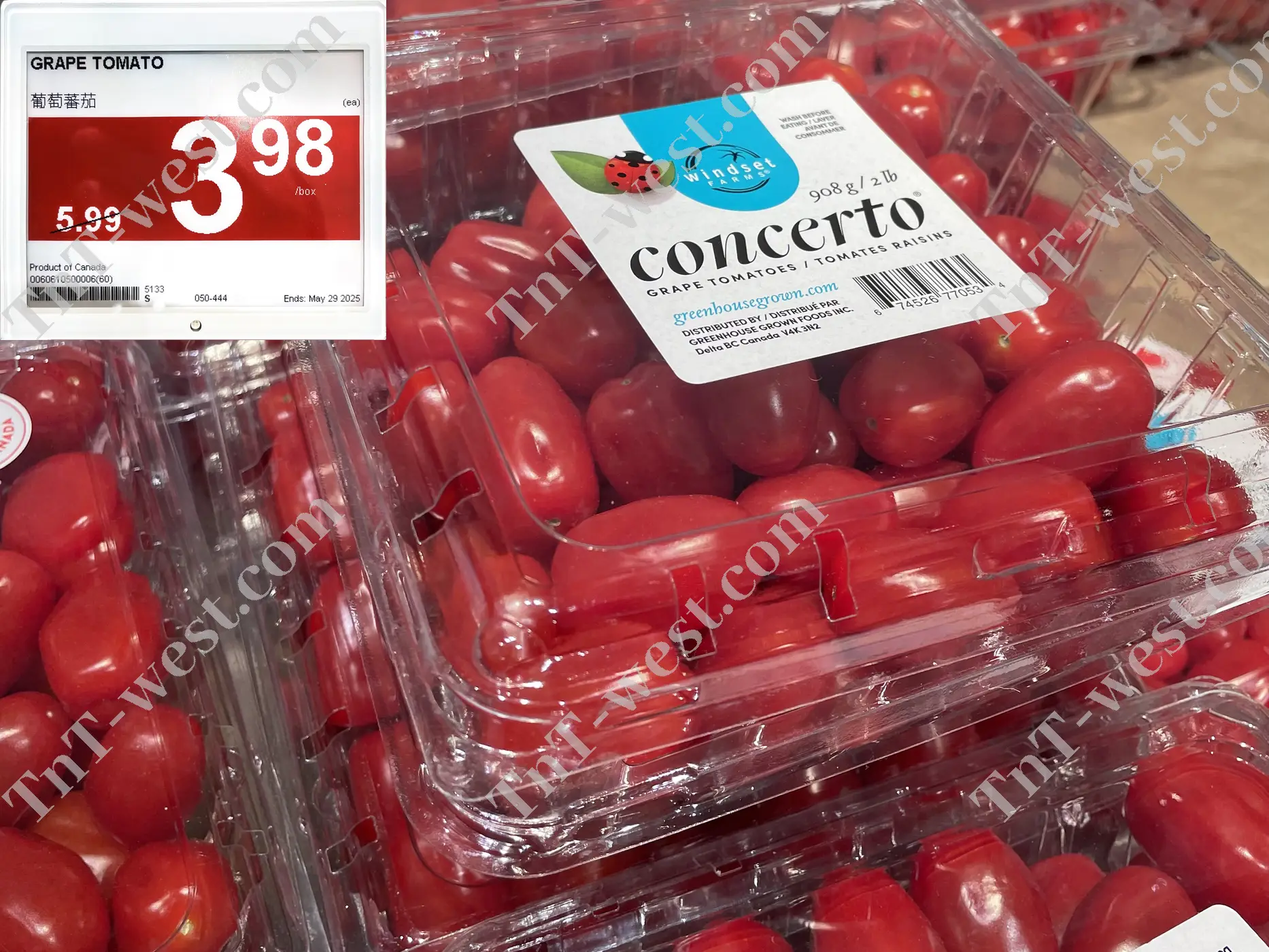 Grape Tomato