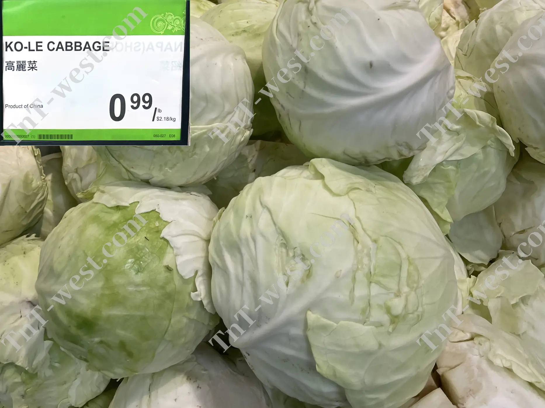 Cabbage