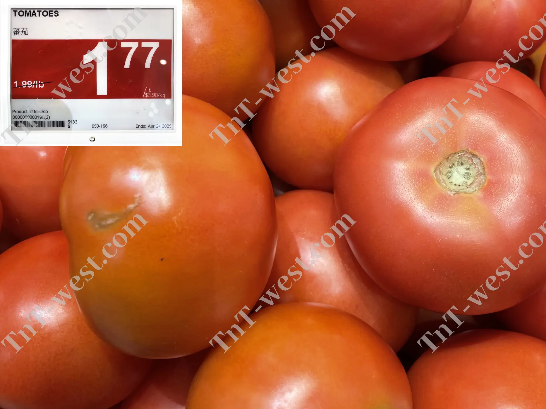 Tomatoes