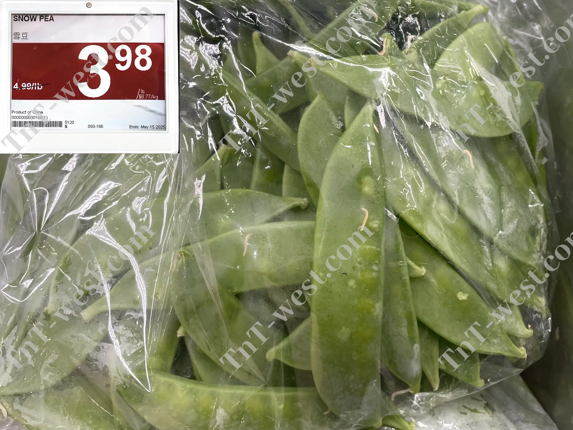 Snow Pea