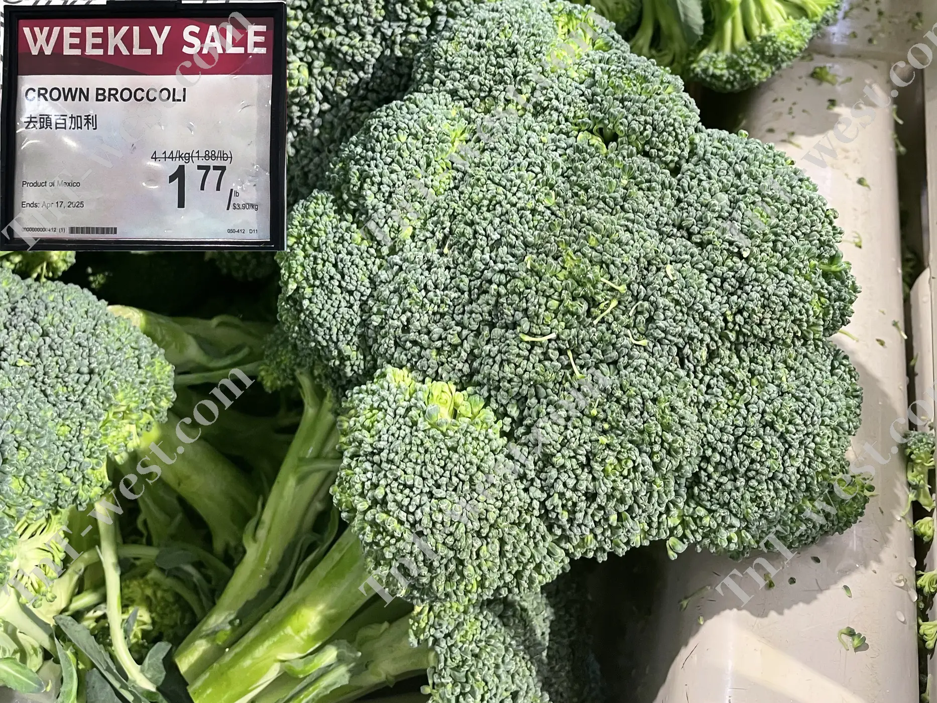 Crown Broccoli