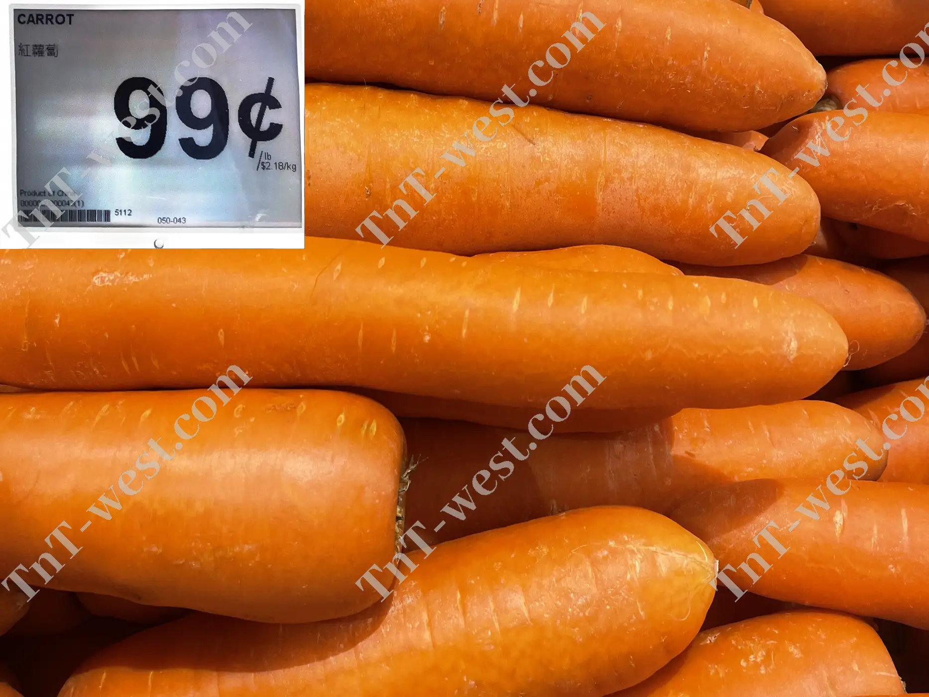 Carrot