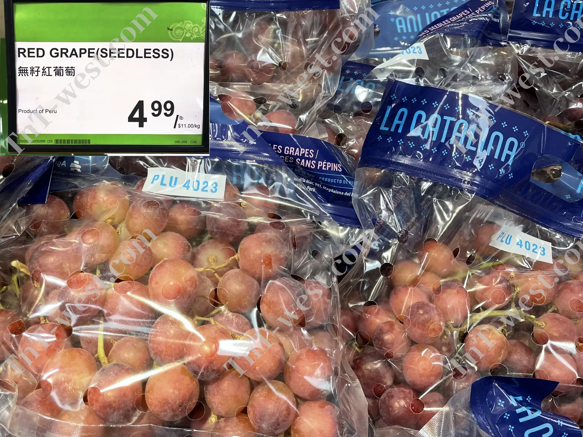 Red Grape