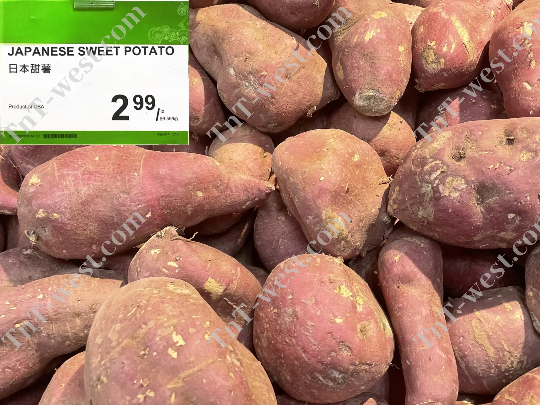 Japanese Sweet Potato