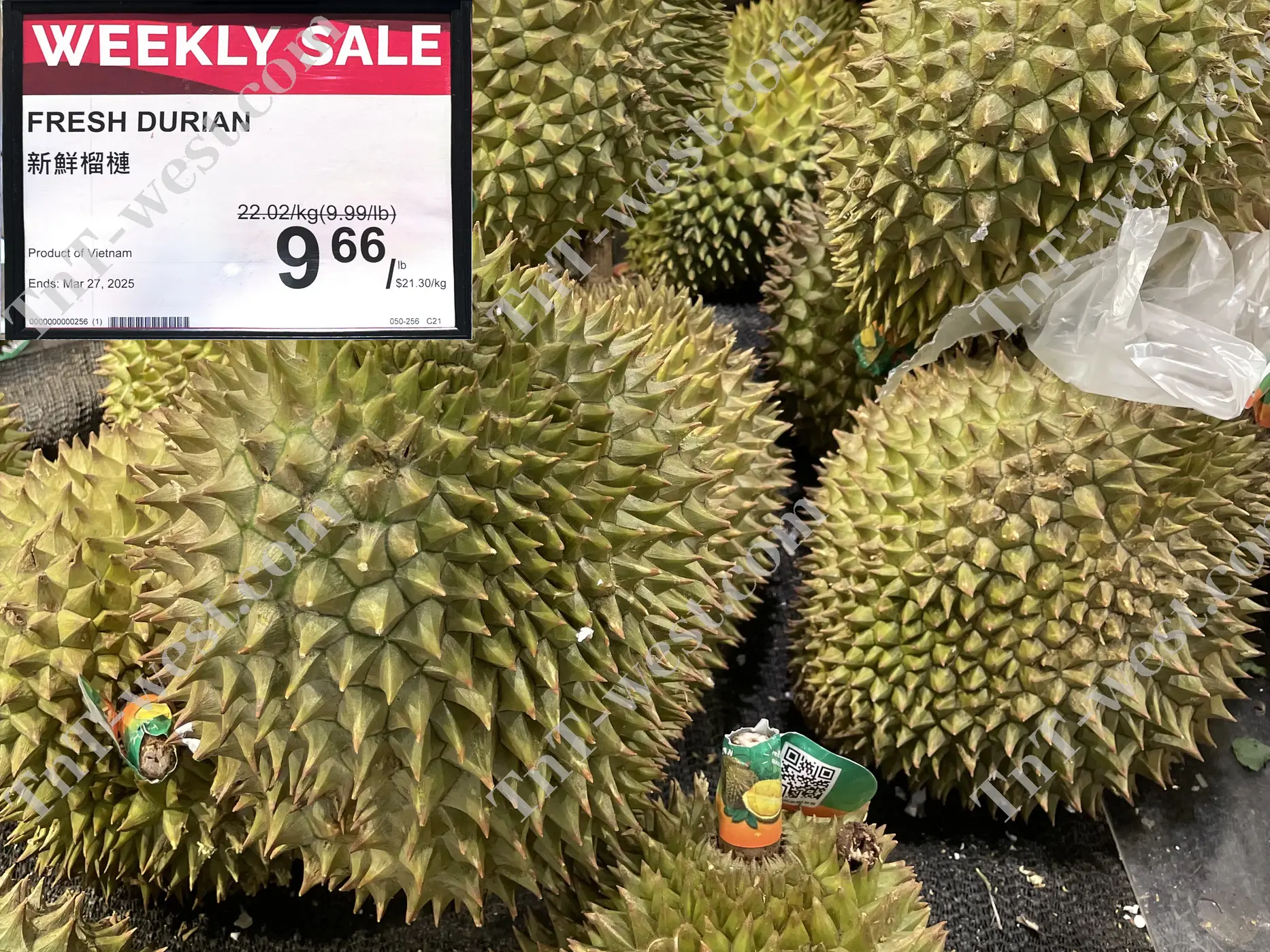 Fresh Durian