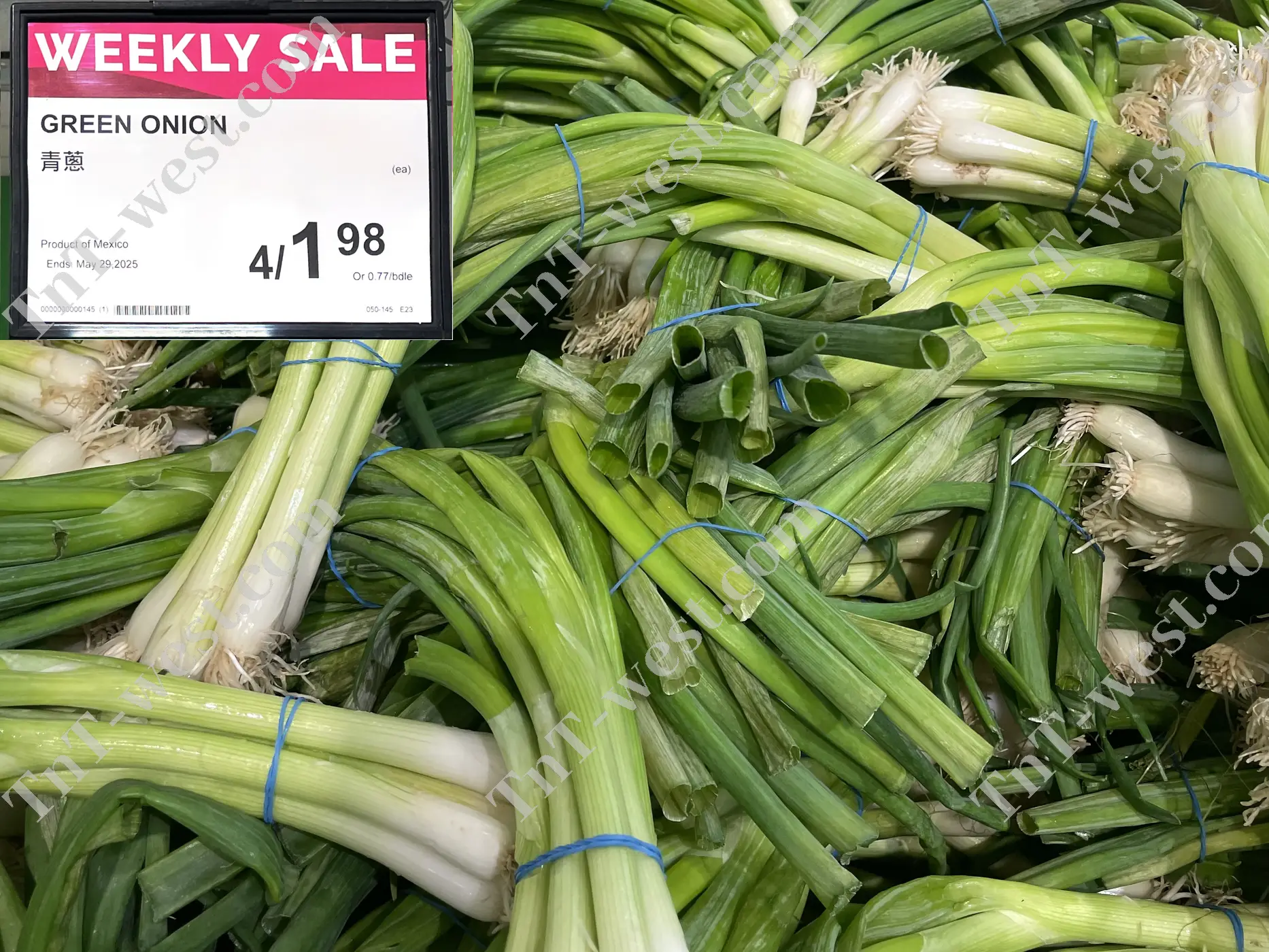 Green Onion