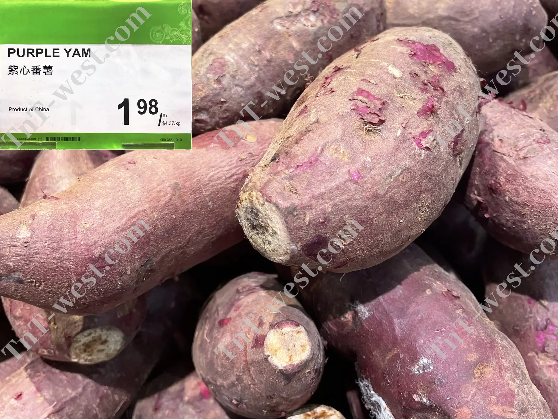 Purple Yam