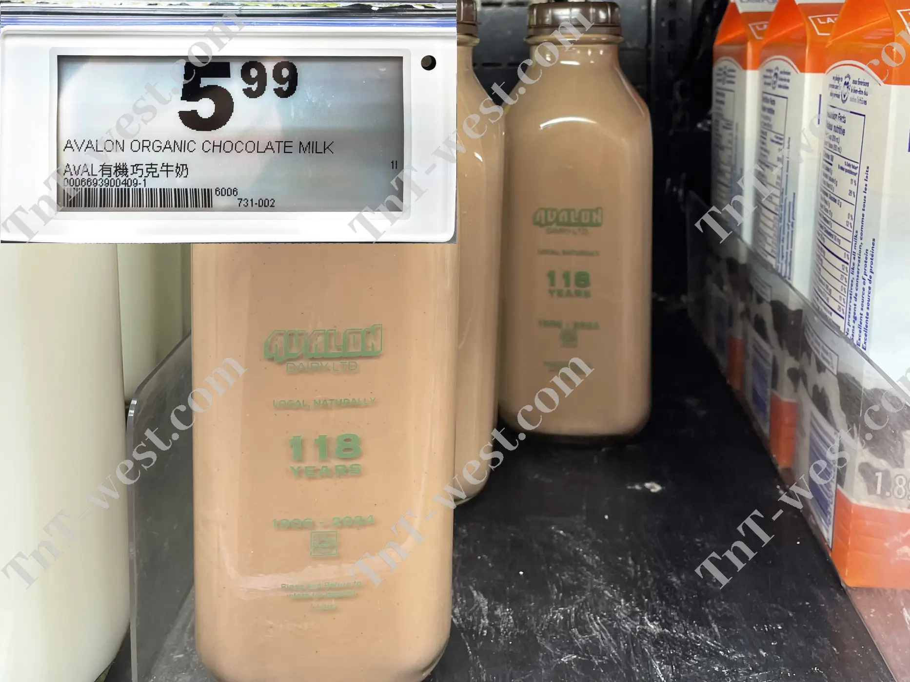 Avalon Organic Chocolate Milk