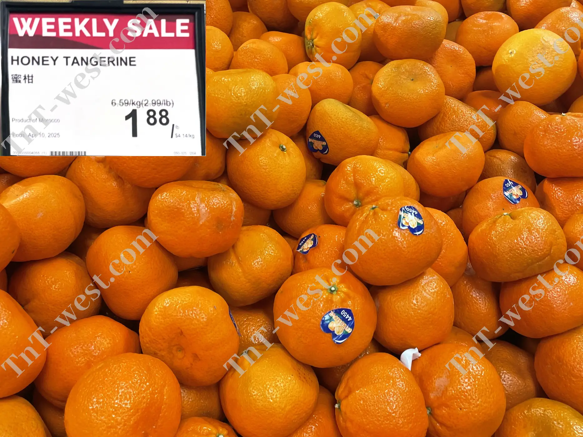 Honey Tangerine