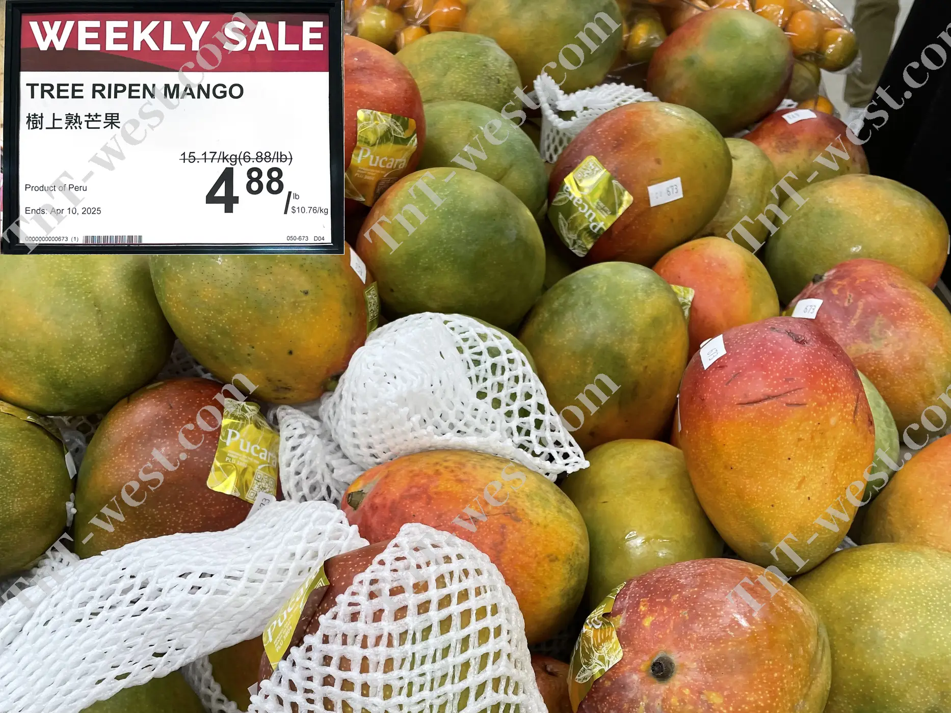 Tree Ripen Mango