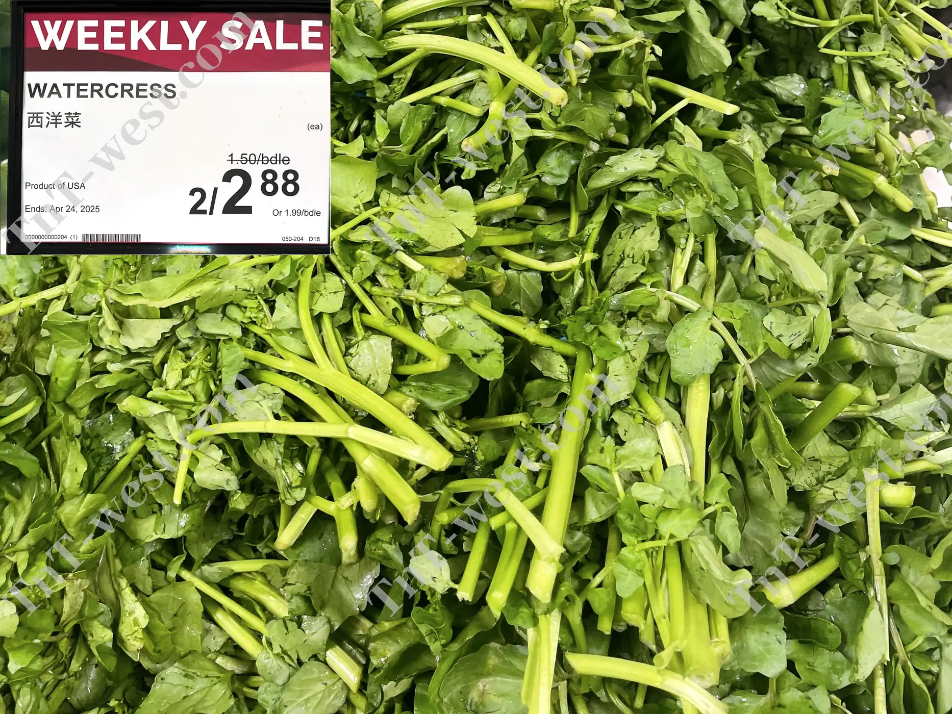Watercress