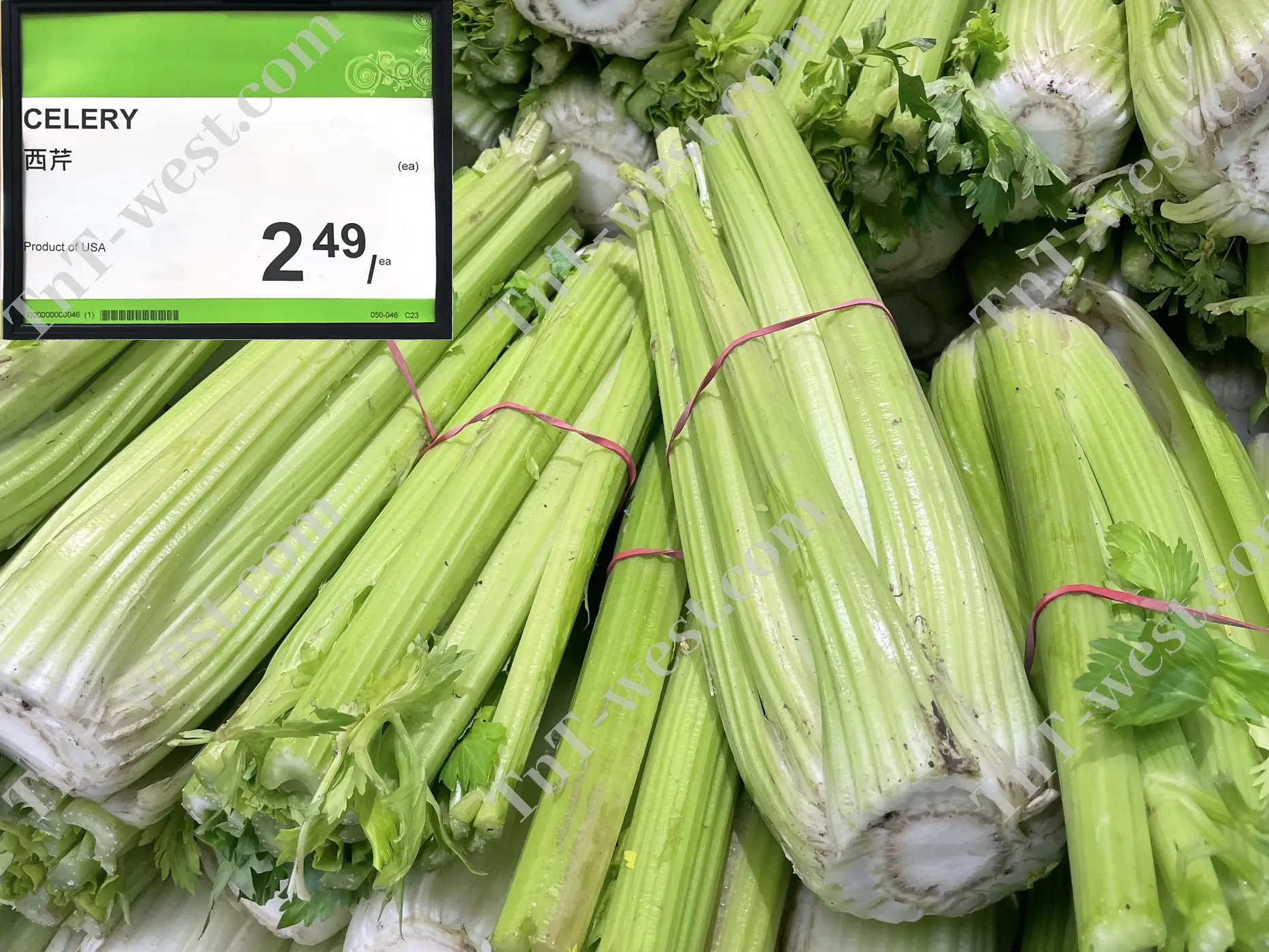 Celery