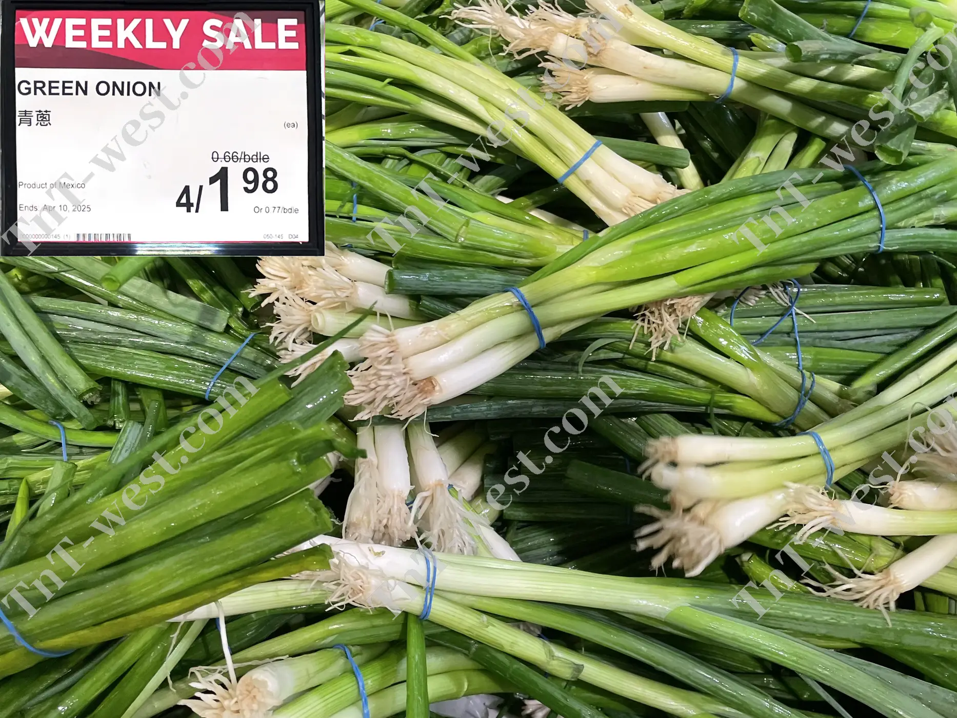 Green Onion