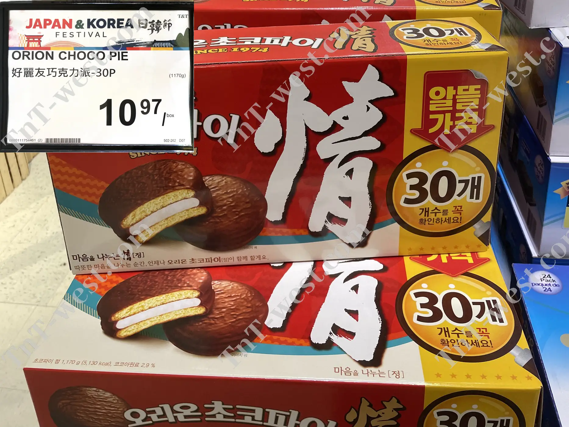 Orion Choco Pie