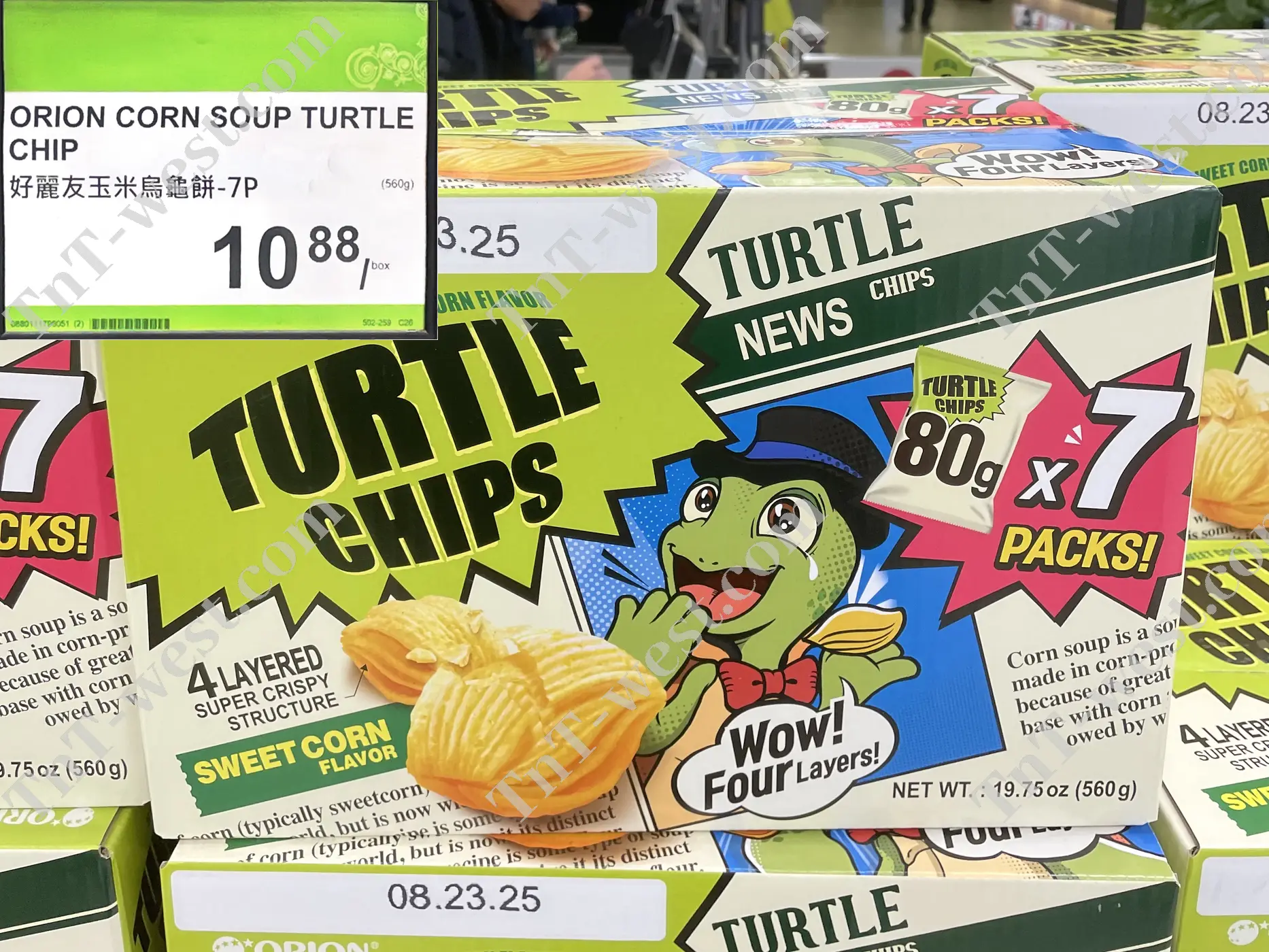 Corn Soup Turtle Chip