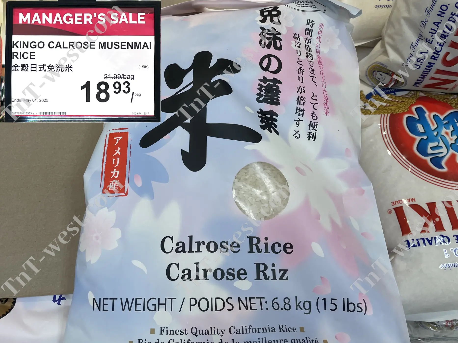 Kingo Calrose Musenmai