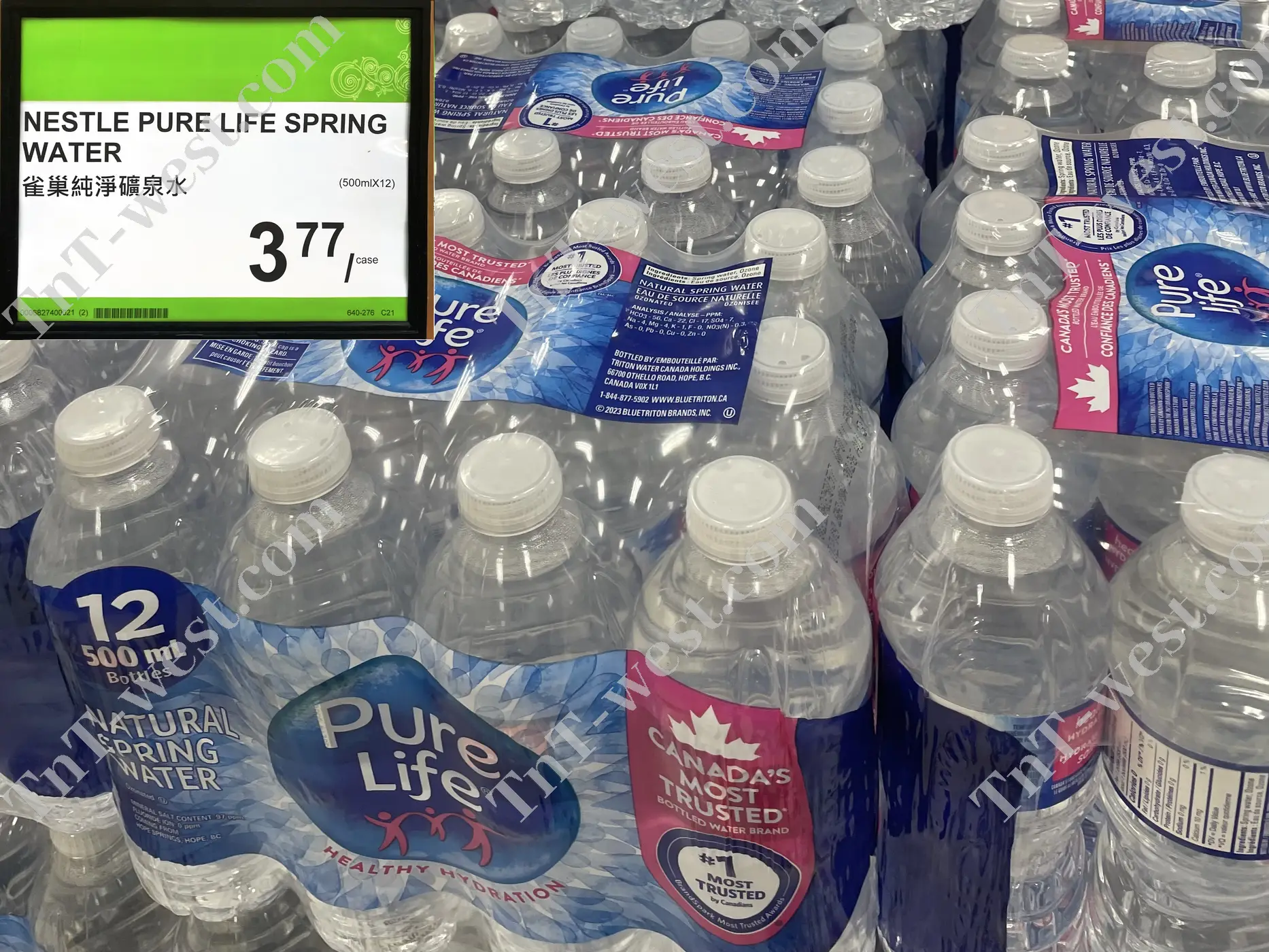 Nestle Pure Life Spring Water
