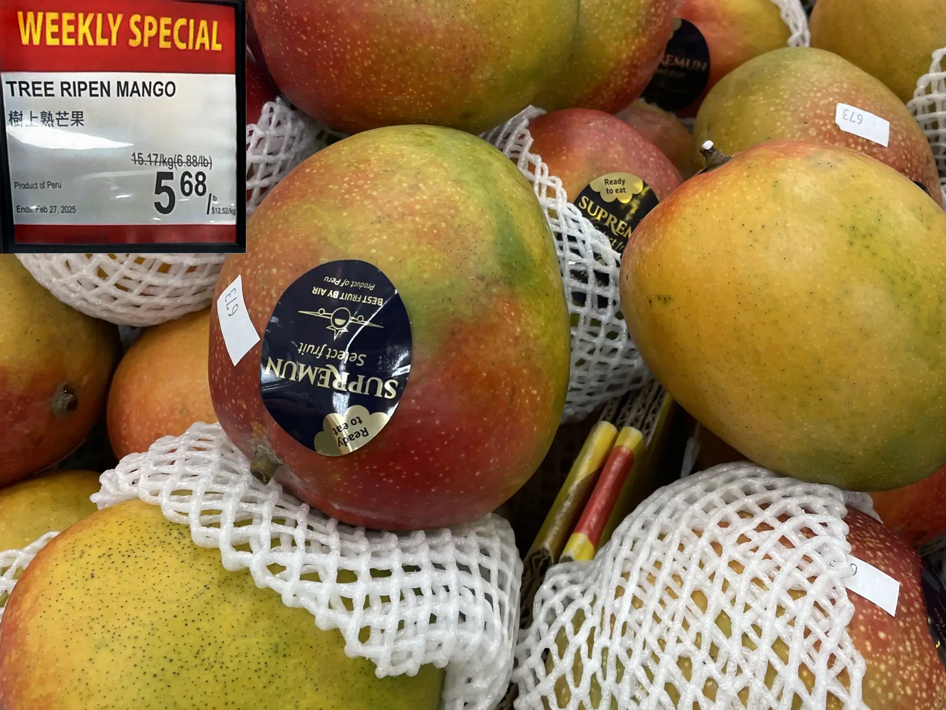 Tree Ripen Mango