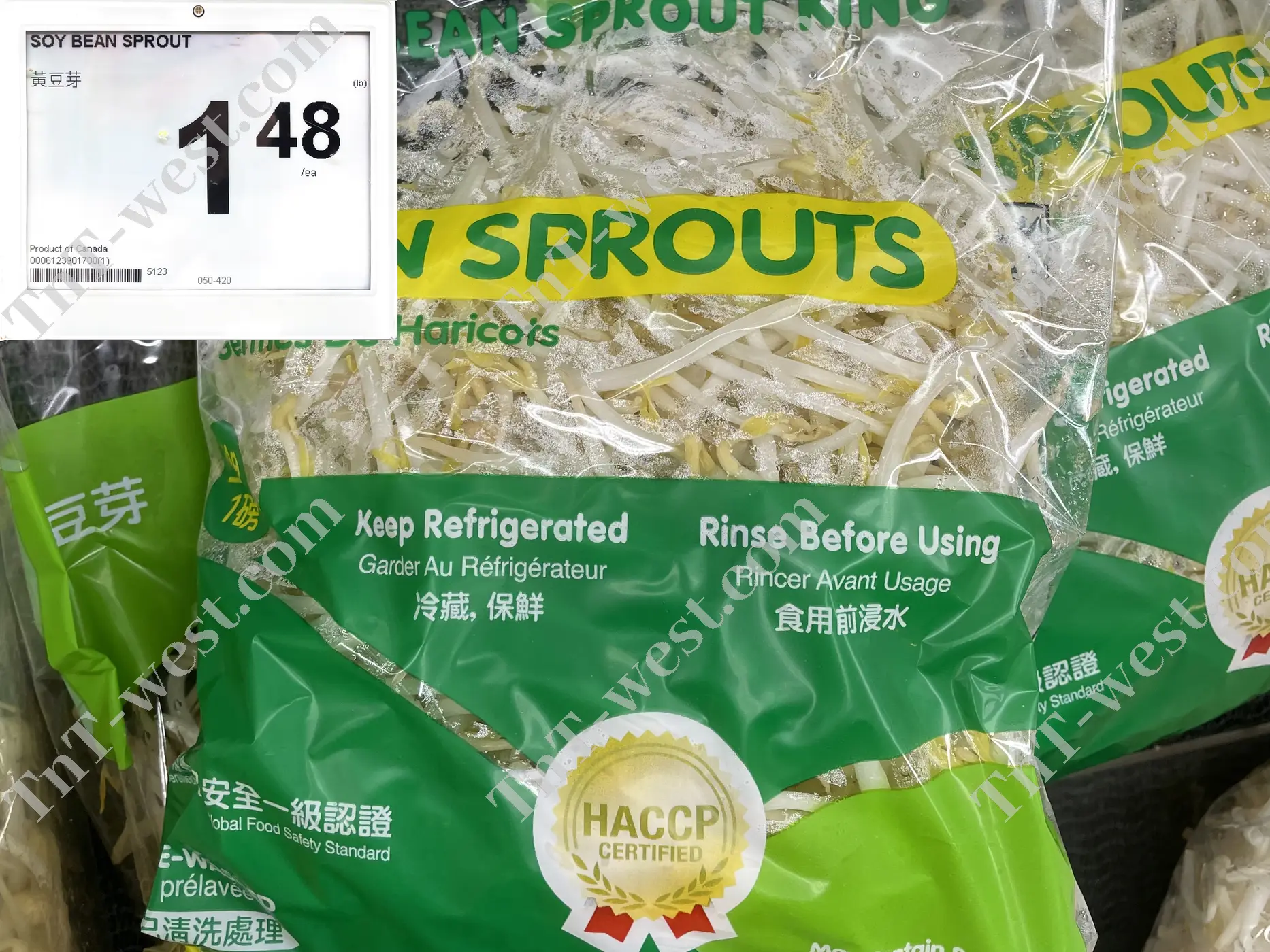 Soy Bean Sprout
