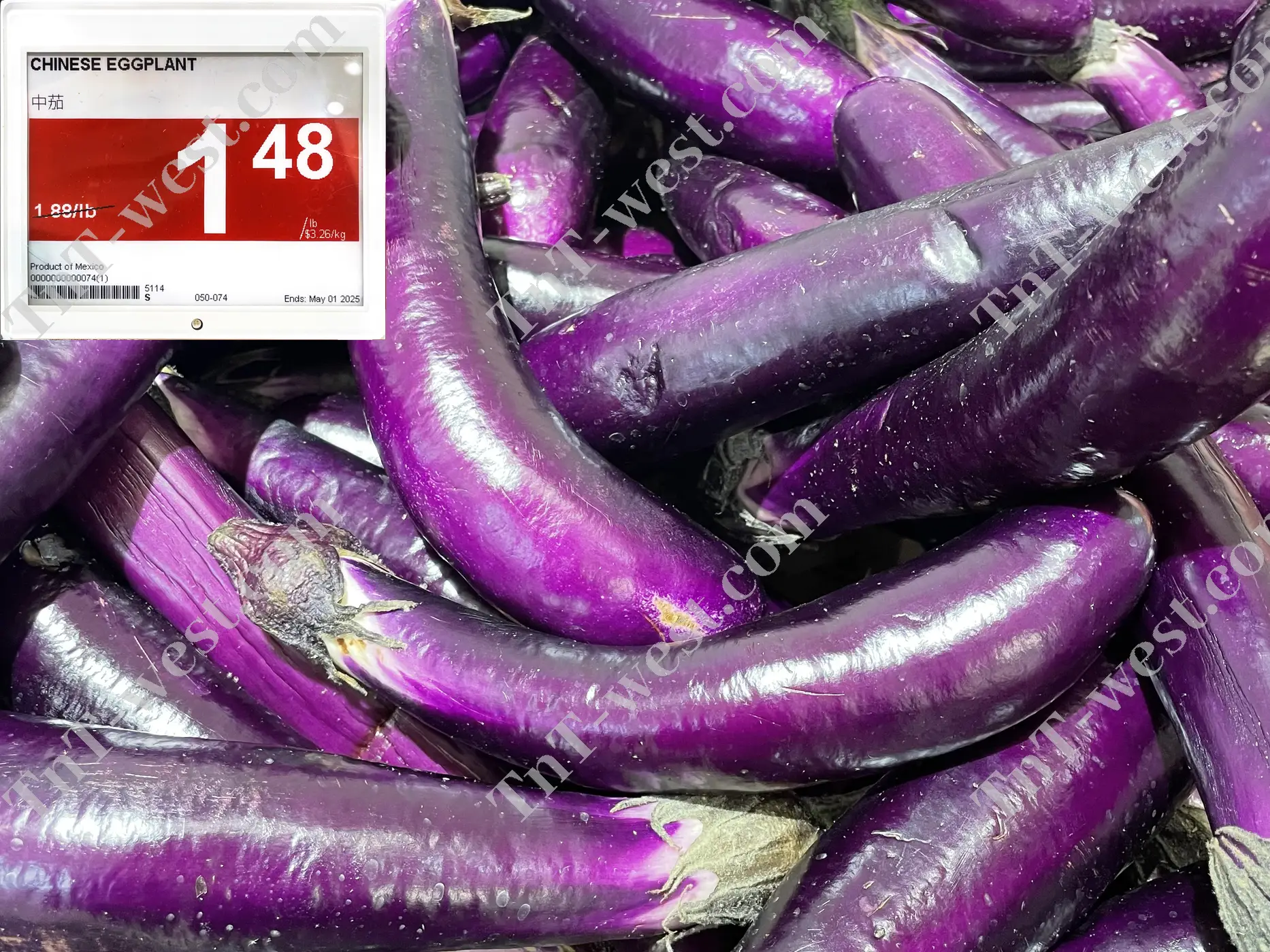 Chinese Eggplant