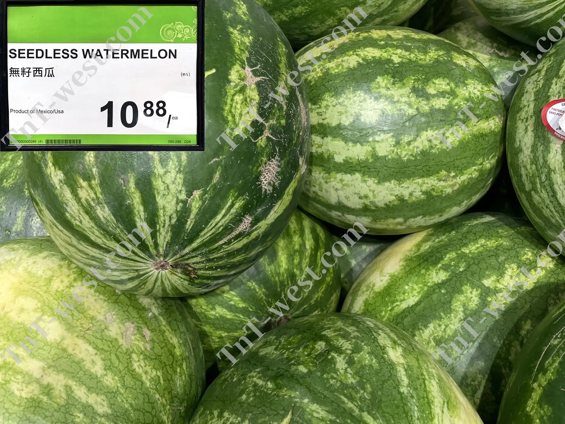 Seedless Watermelon