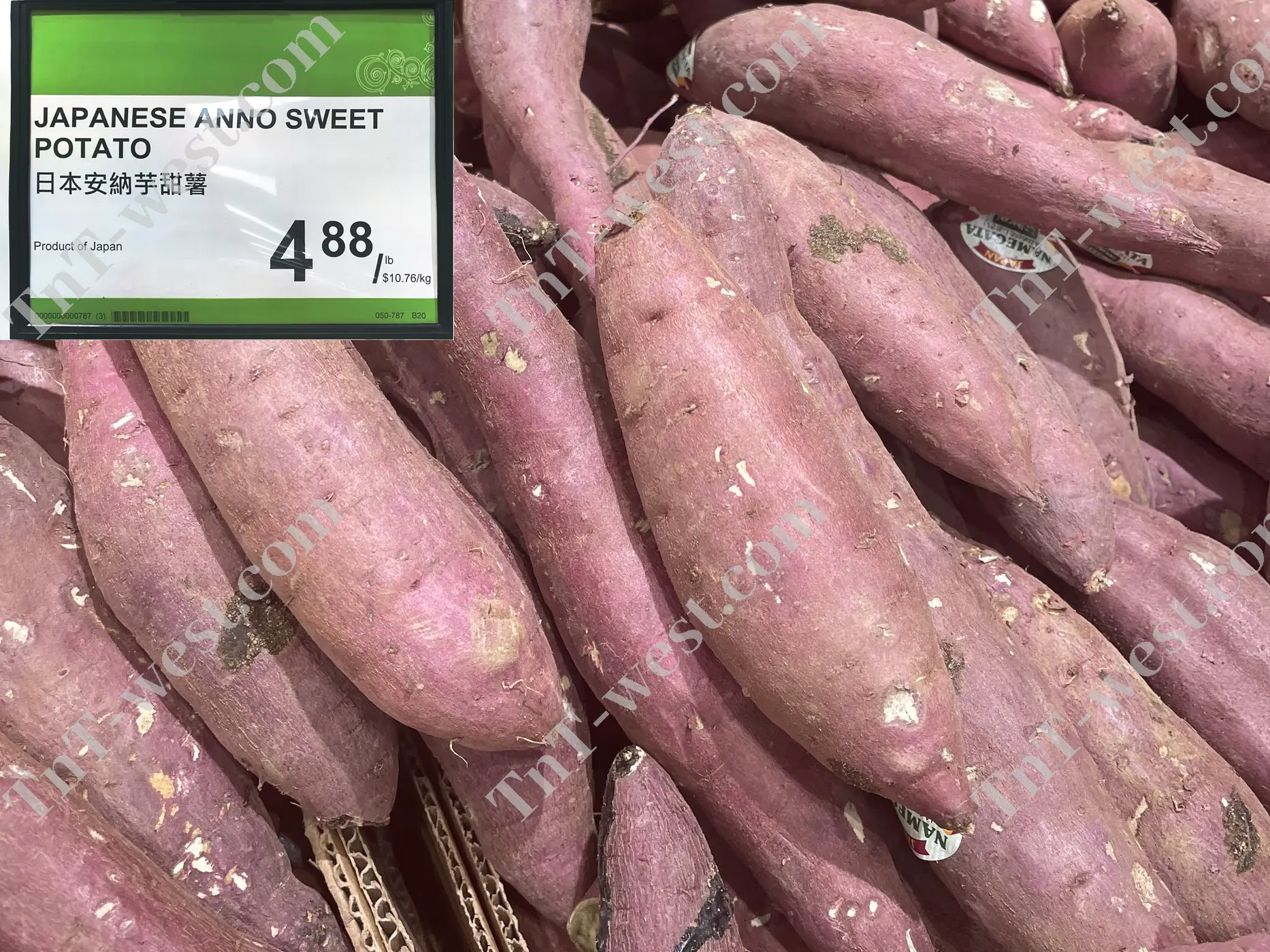 Japanese Sweet Potato