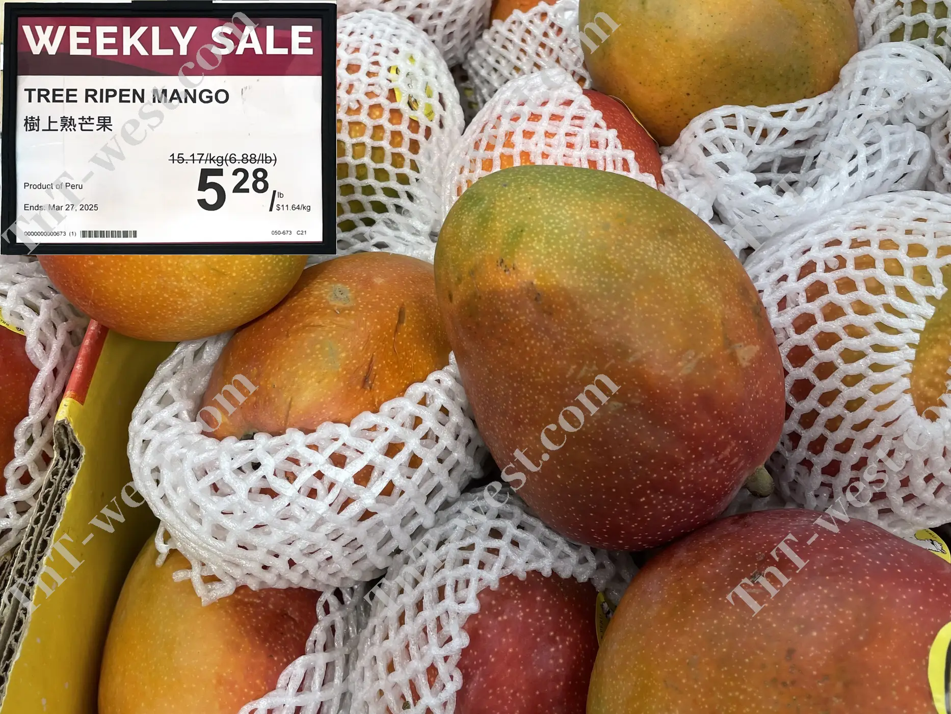 Tree Ripen Mango