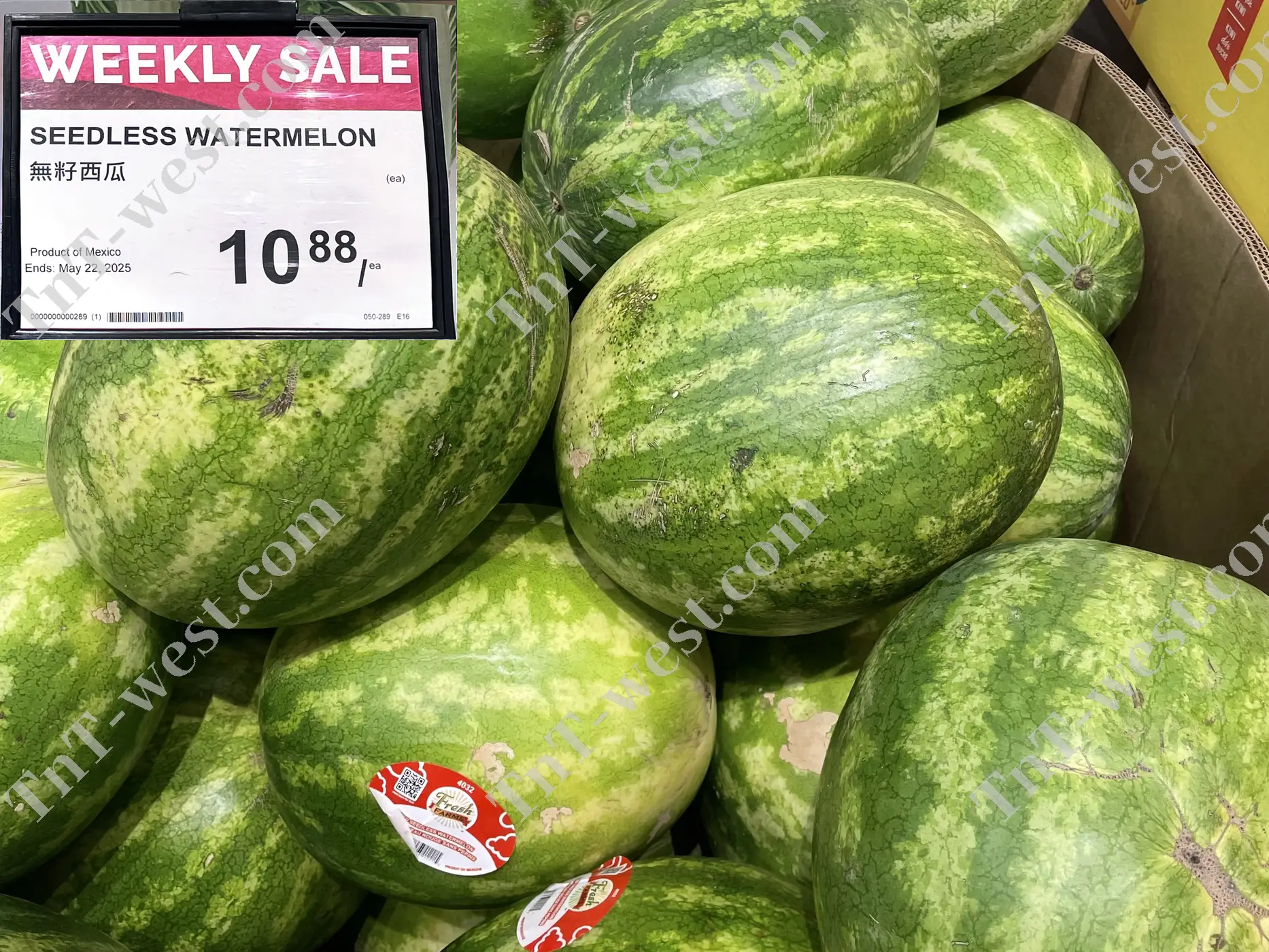 Seedless Watermelon