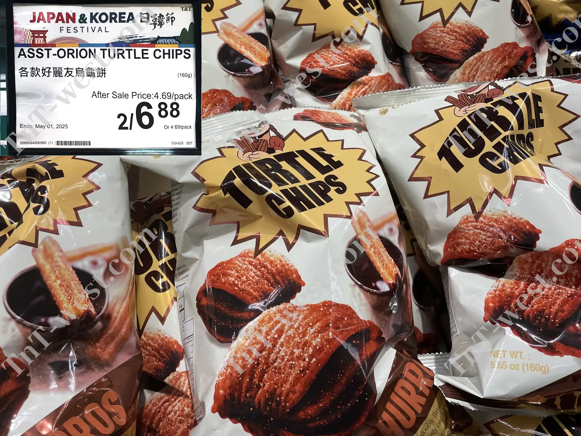 Orion Turtle Chips