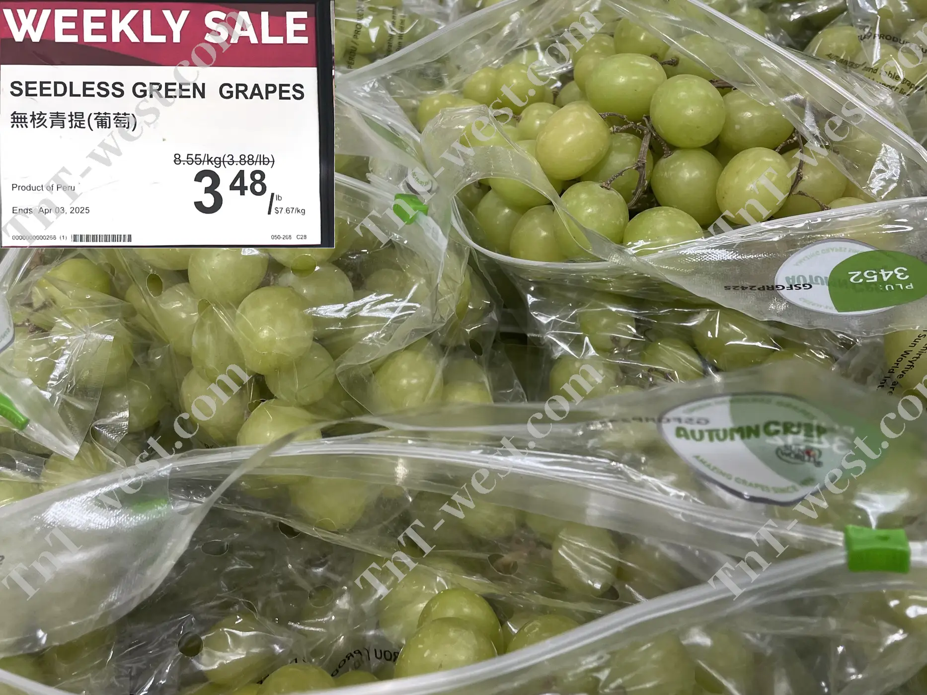 Seedless Green Grapes