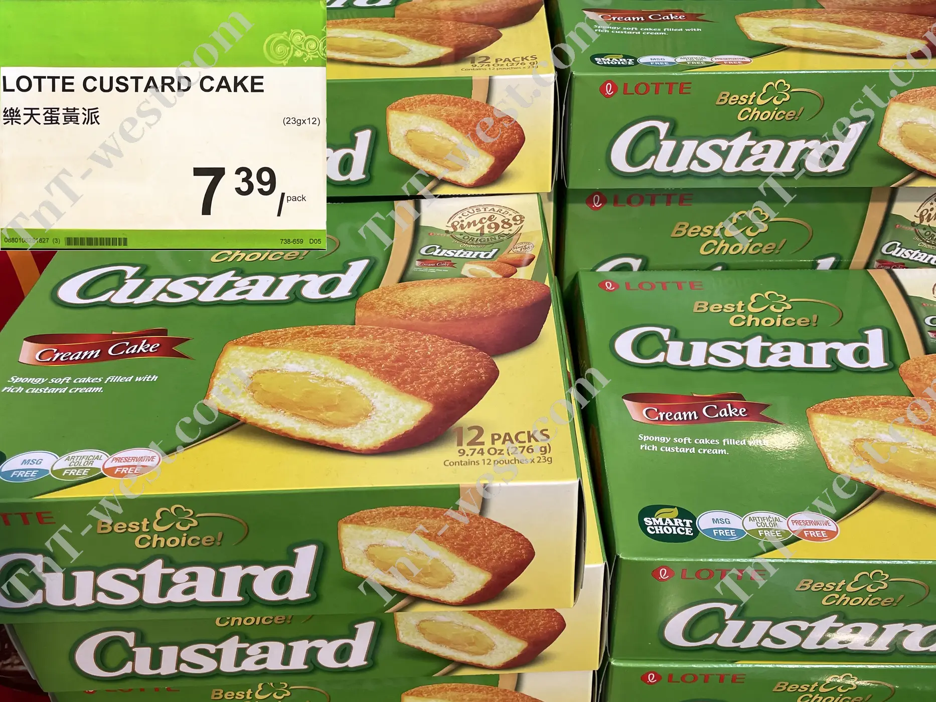 Lotte Custard Cake