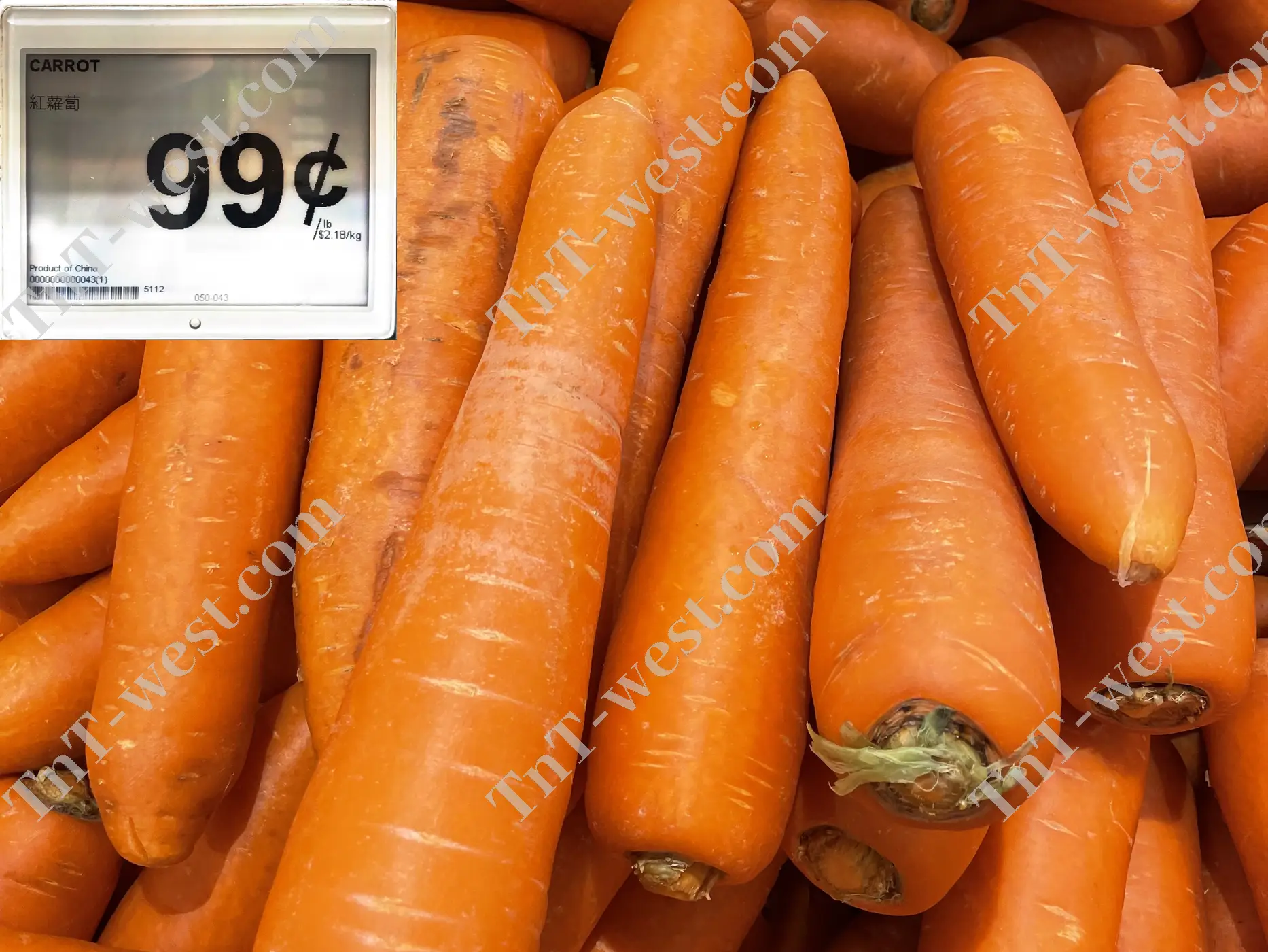 Carrot