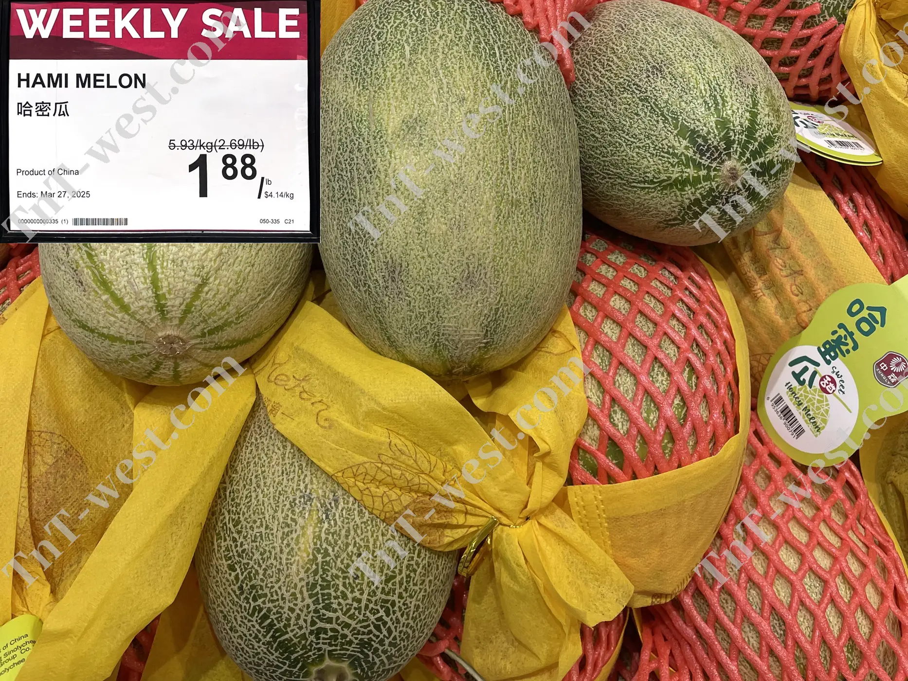 Hami Melon