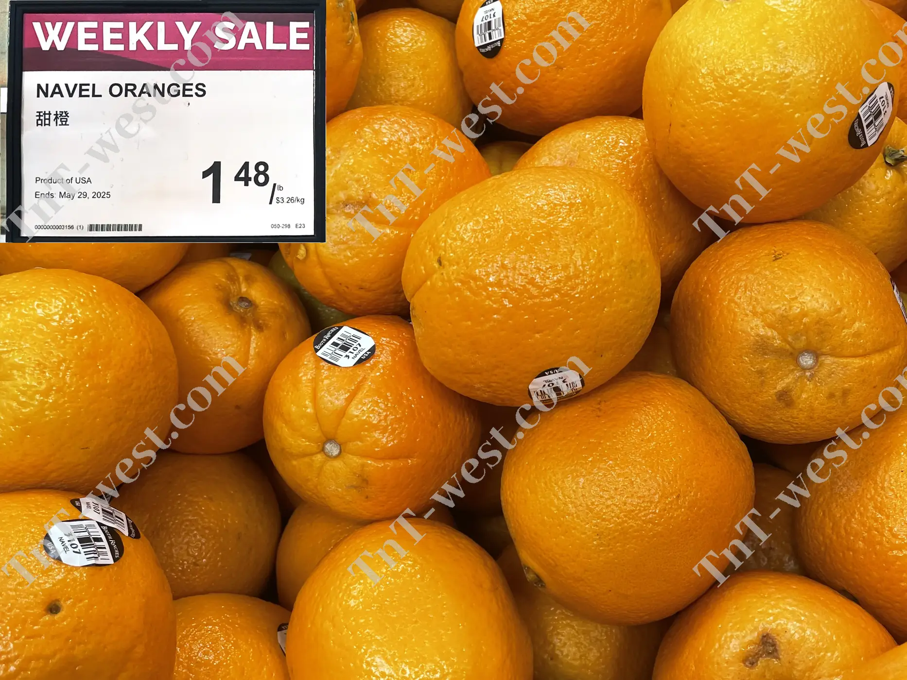 Navel Orange