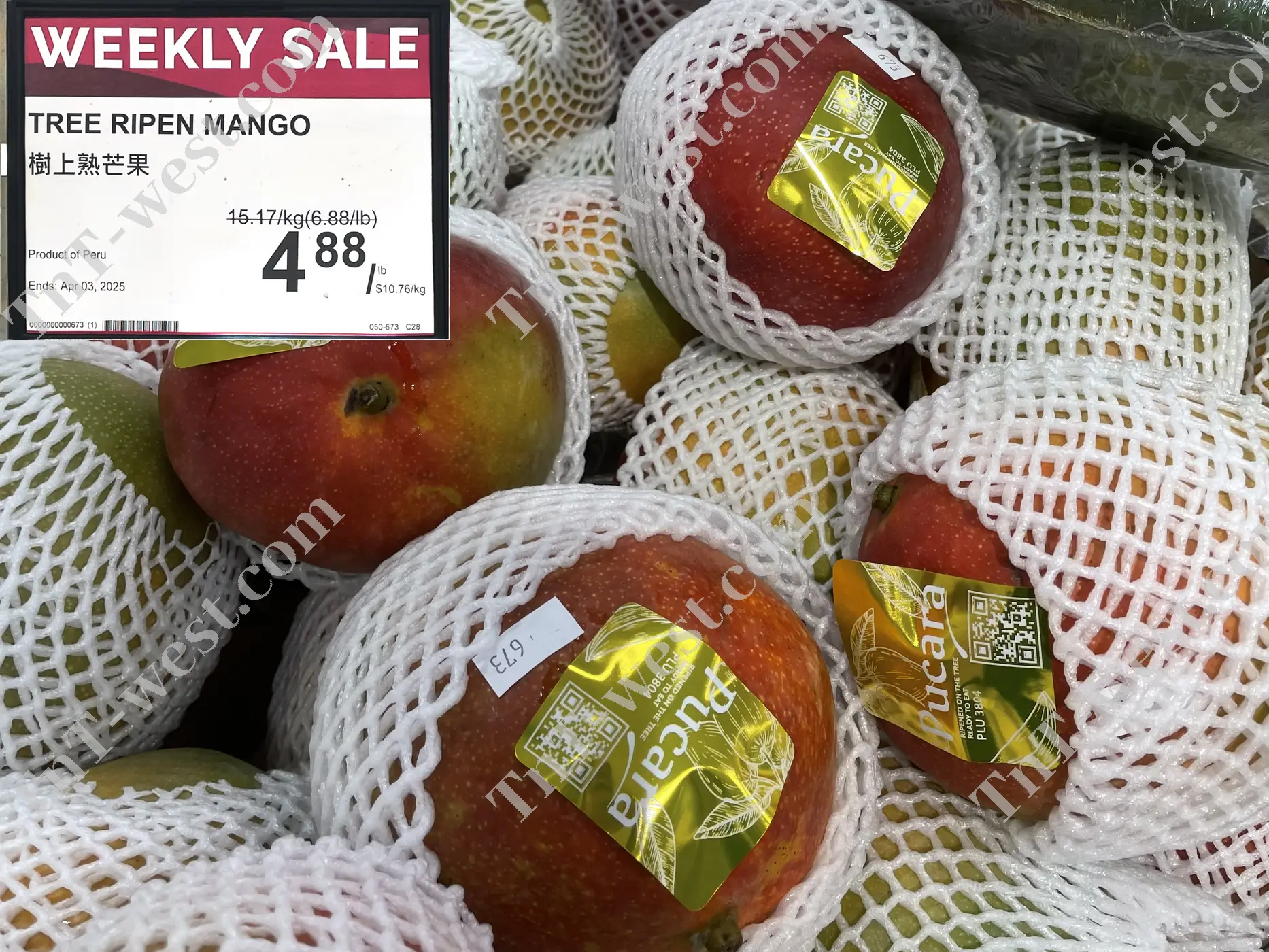 Tree Ripen Mango
