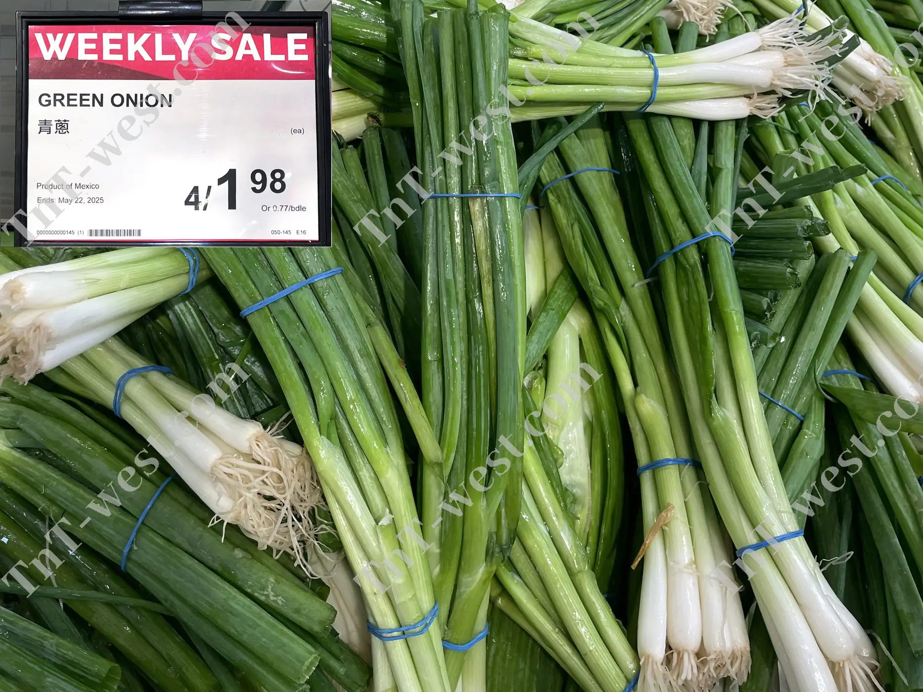 Green Onion