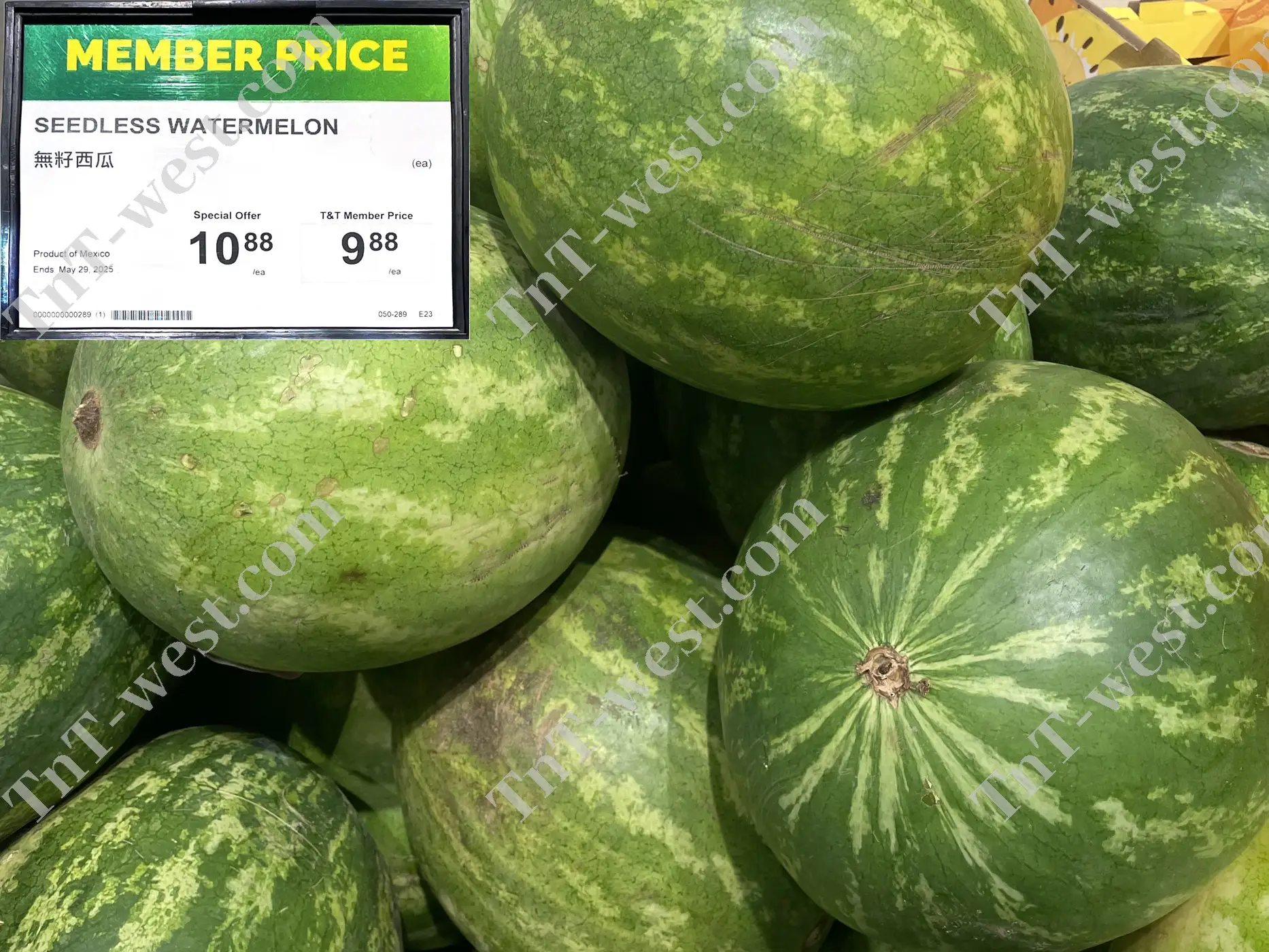 Seedless Watermelon