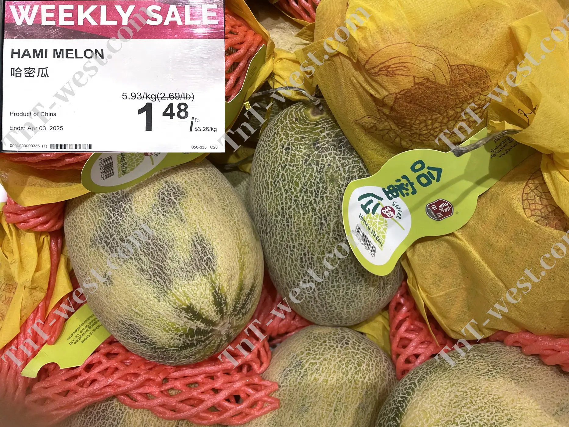 Hami Melon