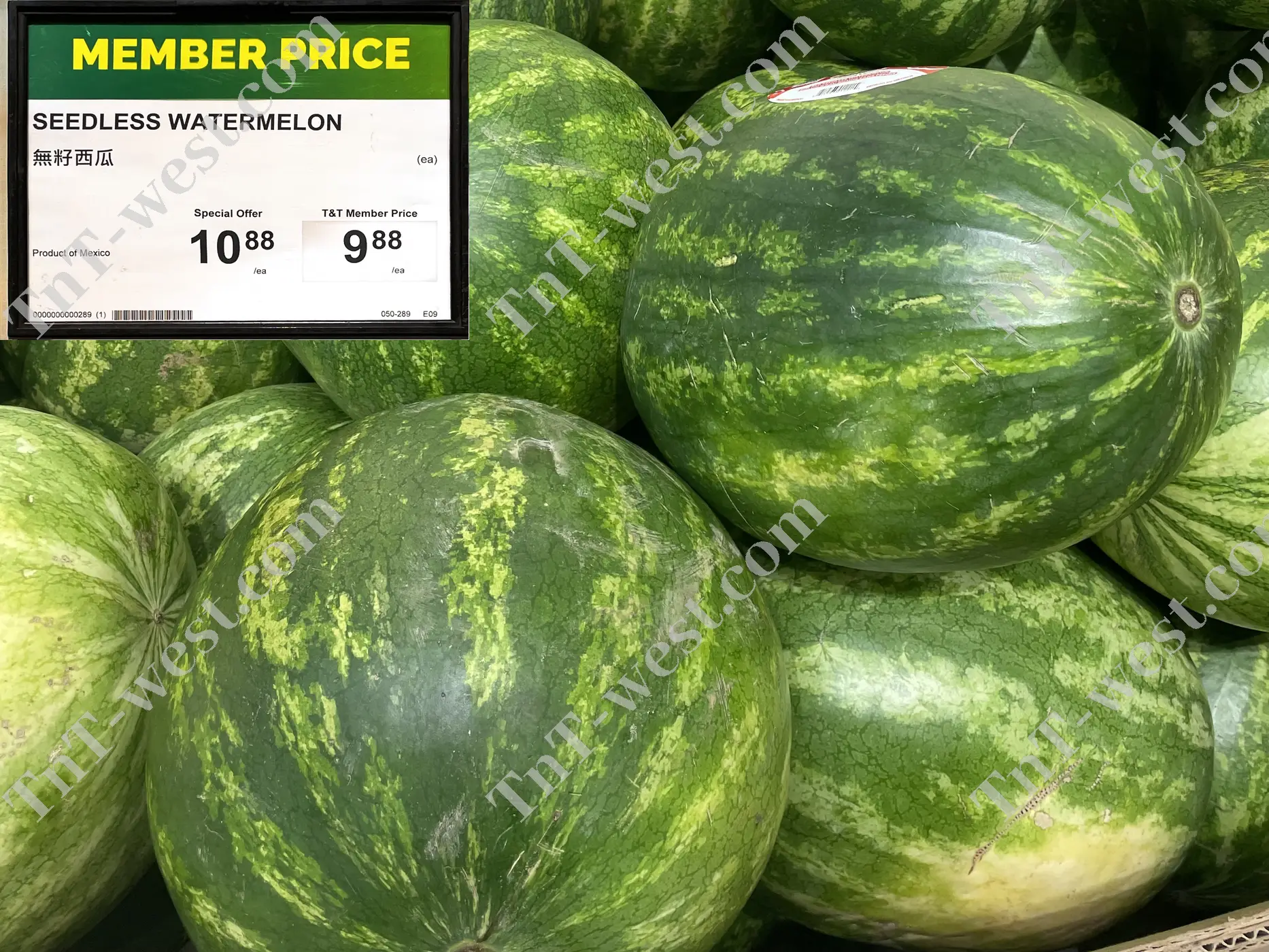 Seedless Watermelon