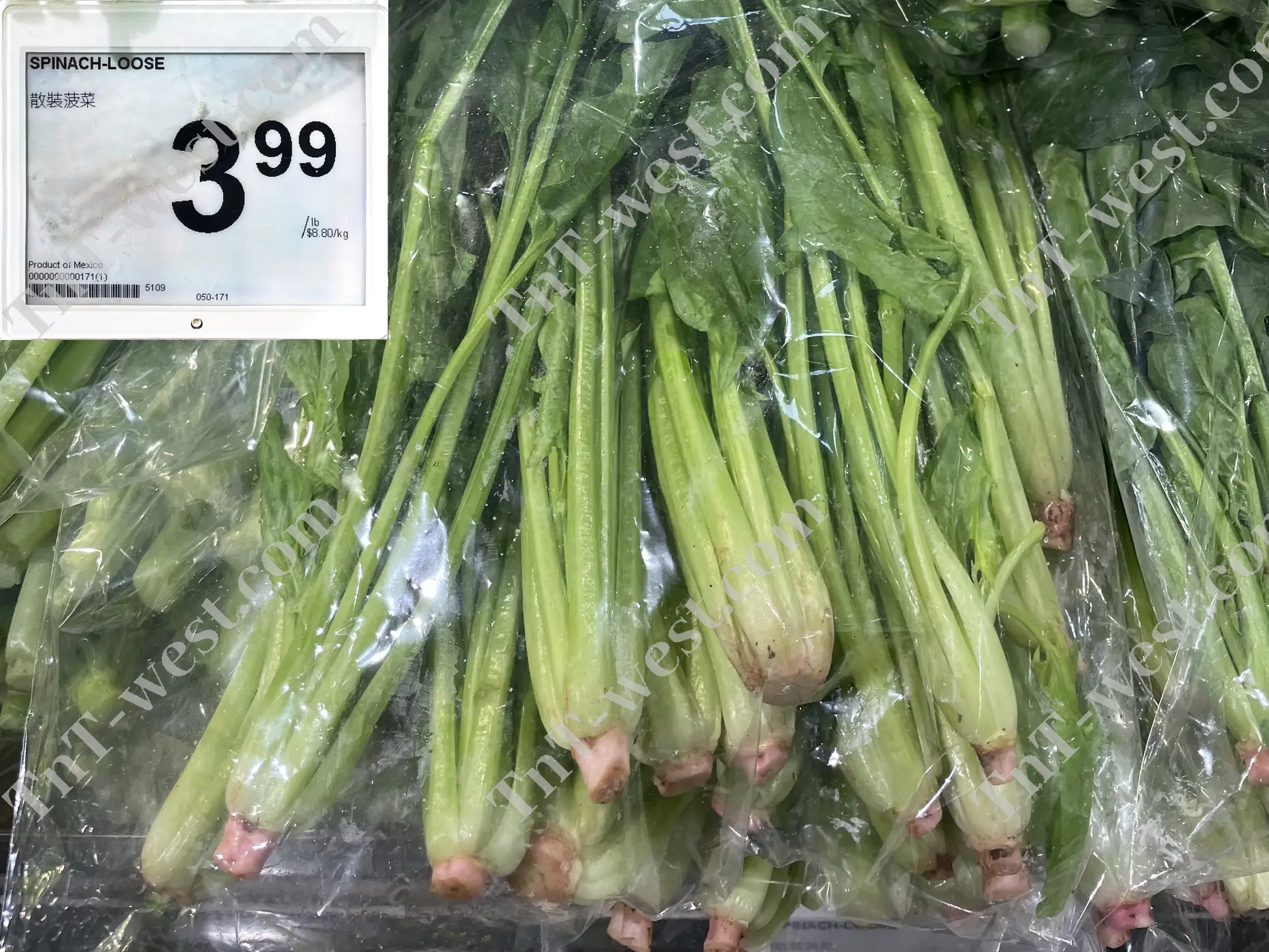 Spinach Loose