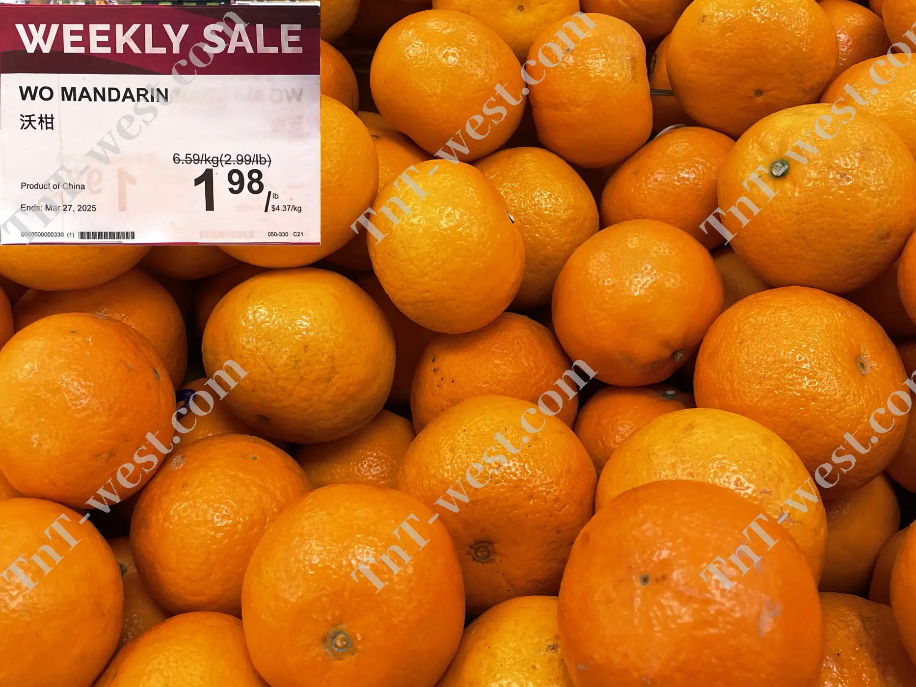 Wo Mandarin