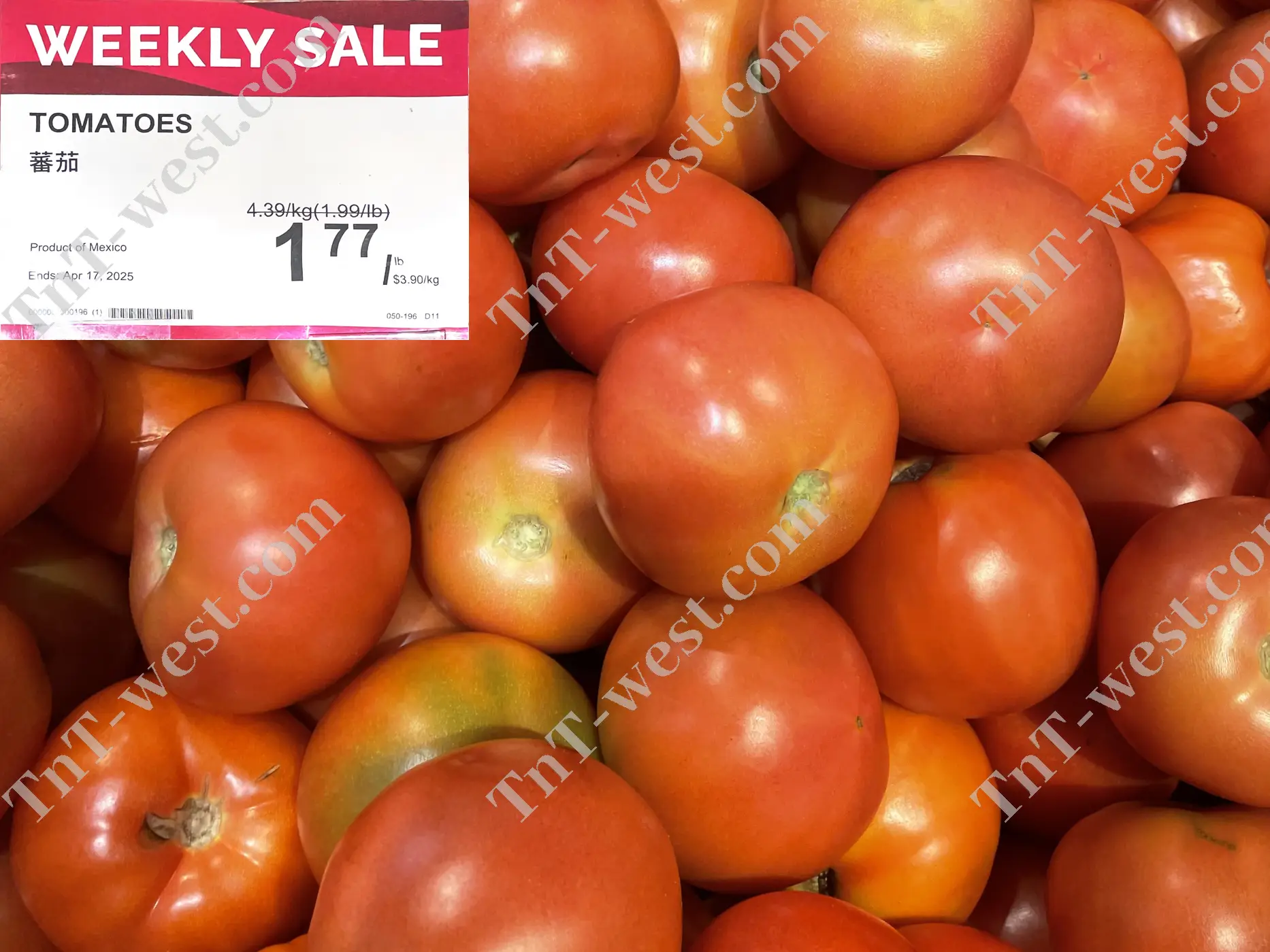 Tomatoes