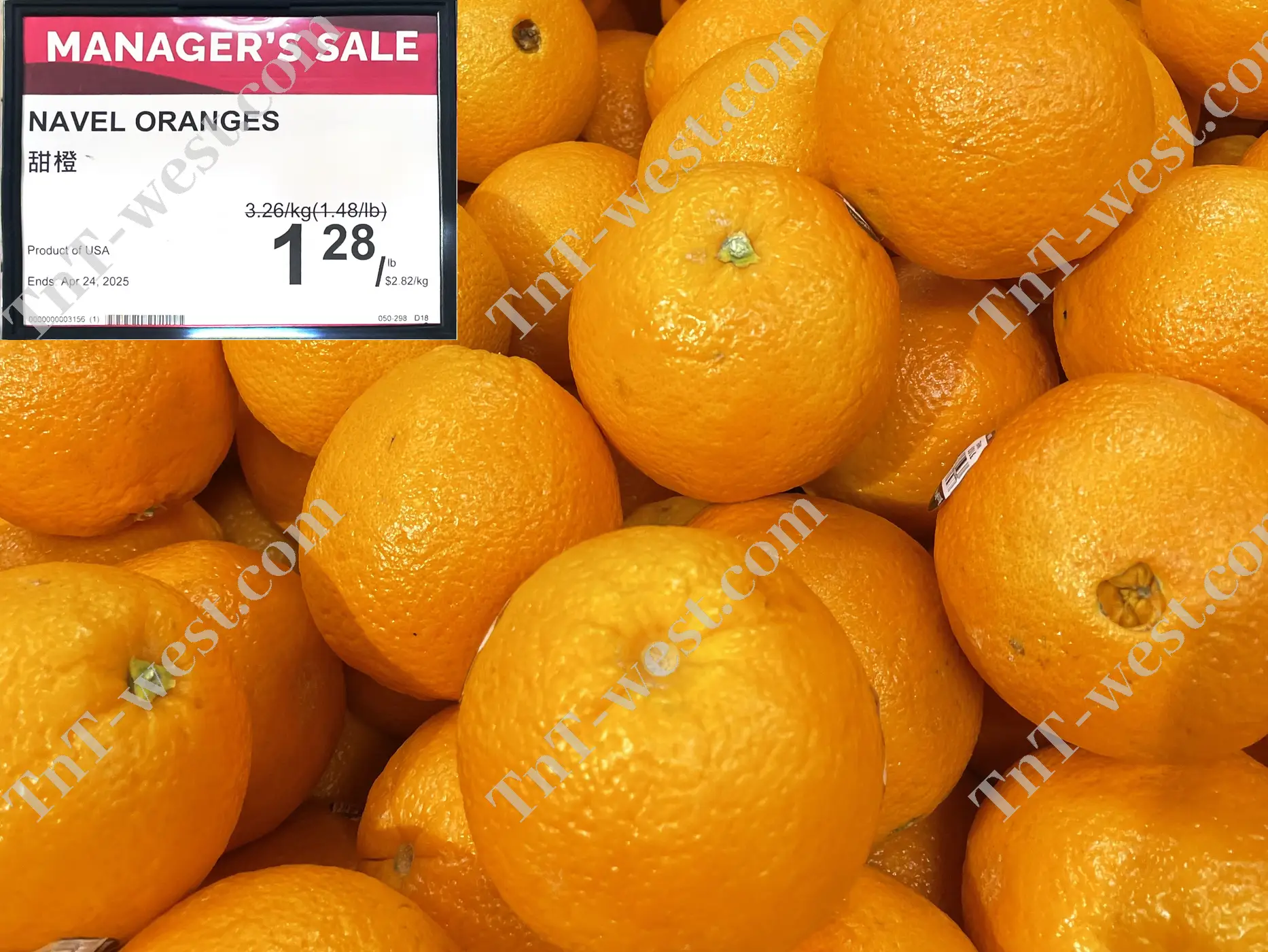 Navel Oranges